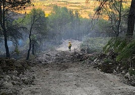 Incendio en el término municipal de Astudillo.