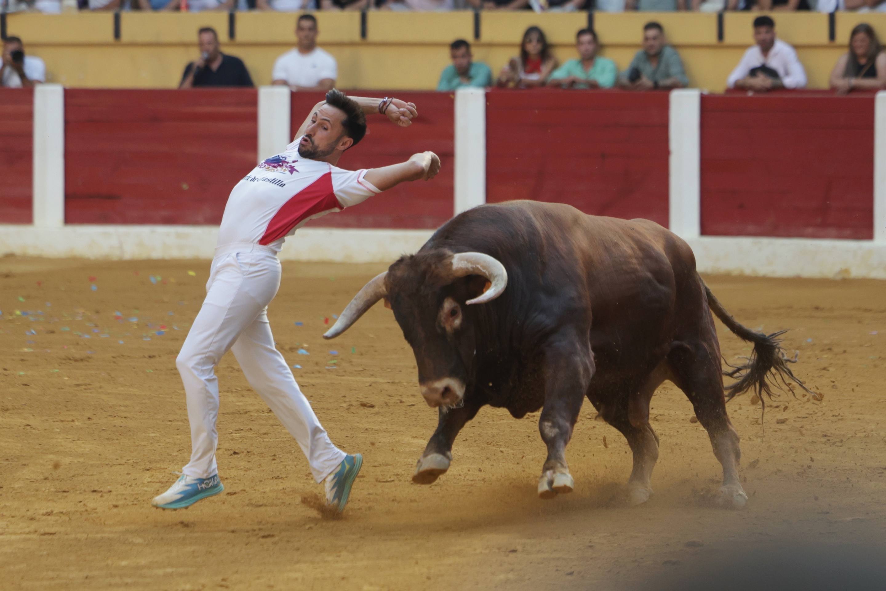 El regreso de la Liga del Corte Puro a Íscar, en imágenes