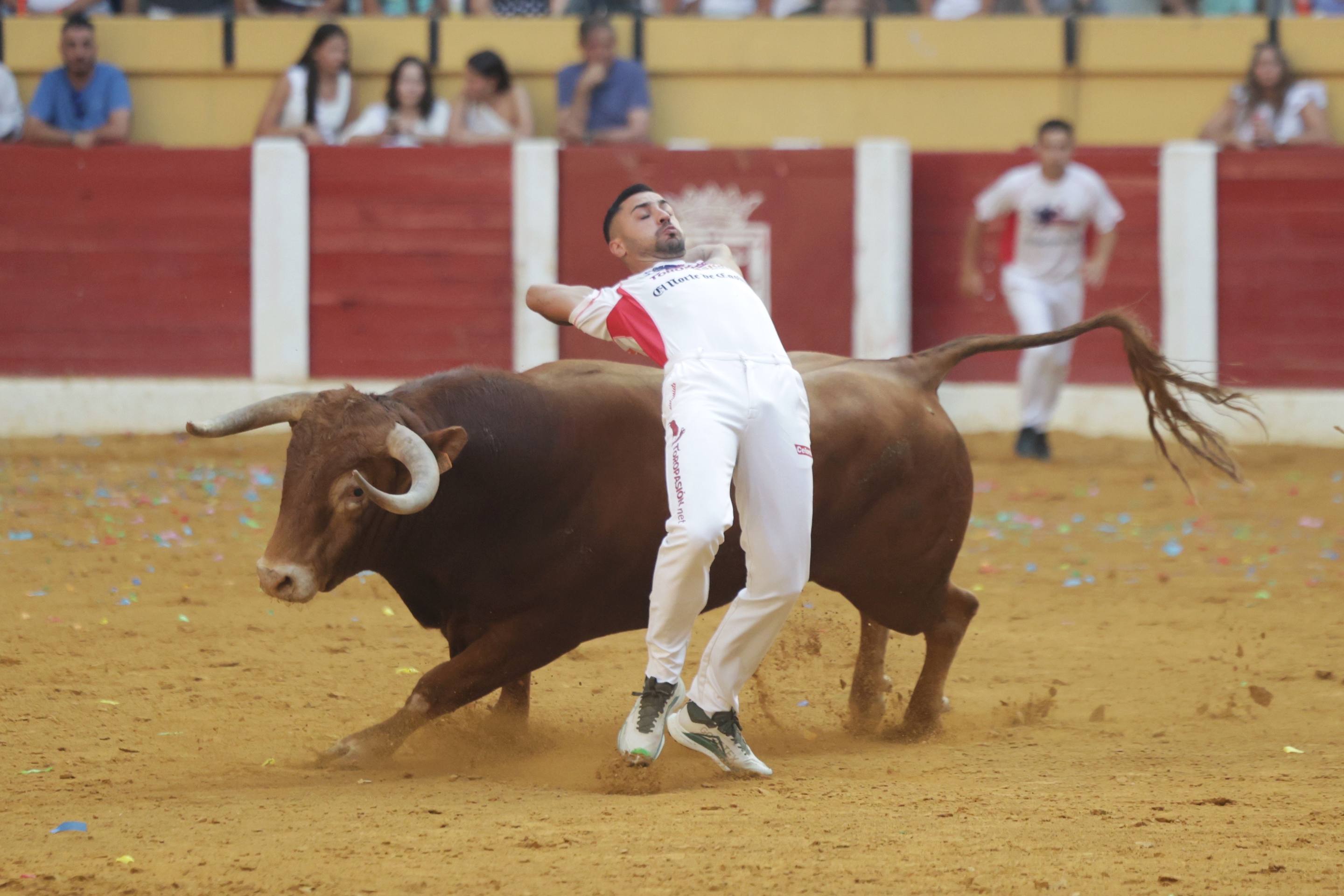 El regreso de la Liga del Corte Puro a Íscar, en imágenes