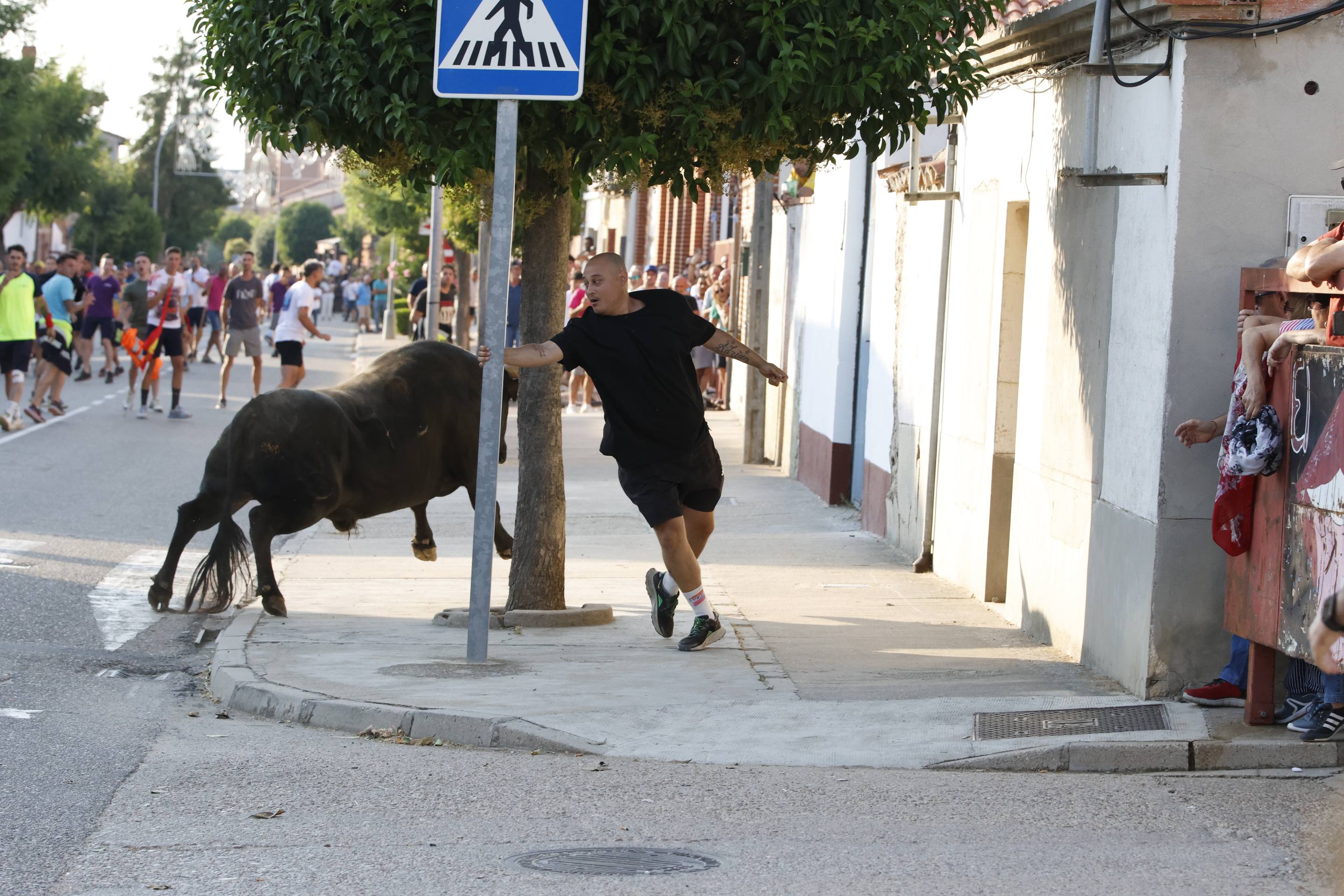 Las imágenes del encierro de La Seca