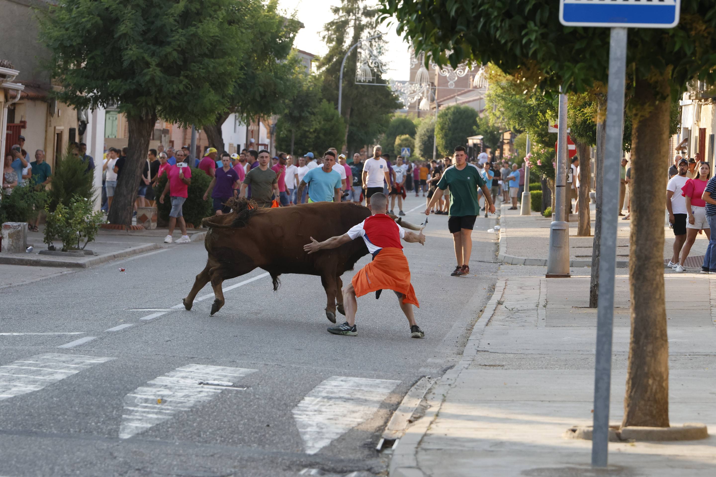 Las imágenes del encierro de La Seca