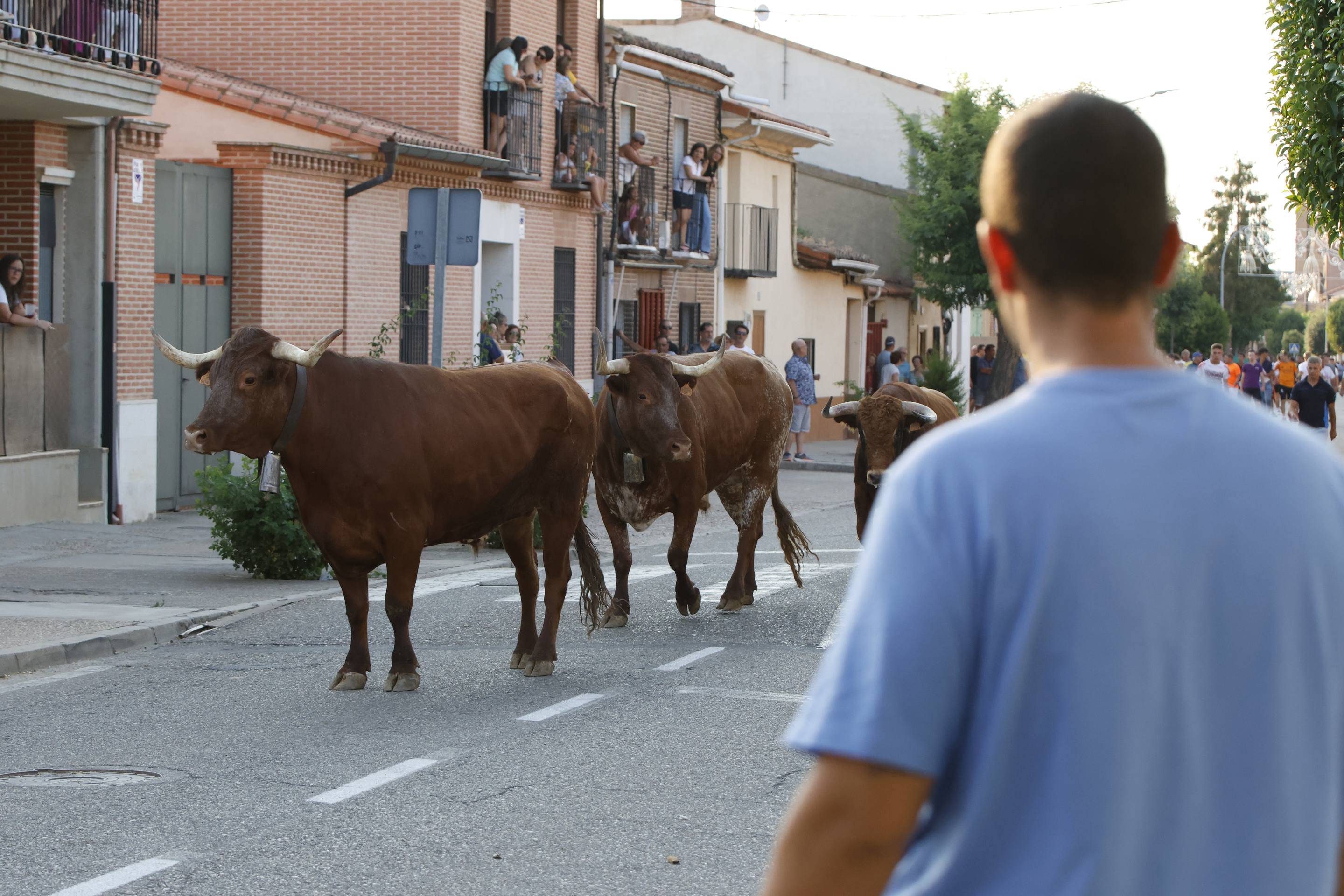 Las imágenes del encierro de La Seca