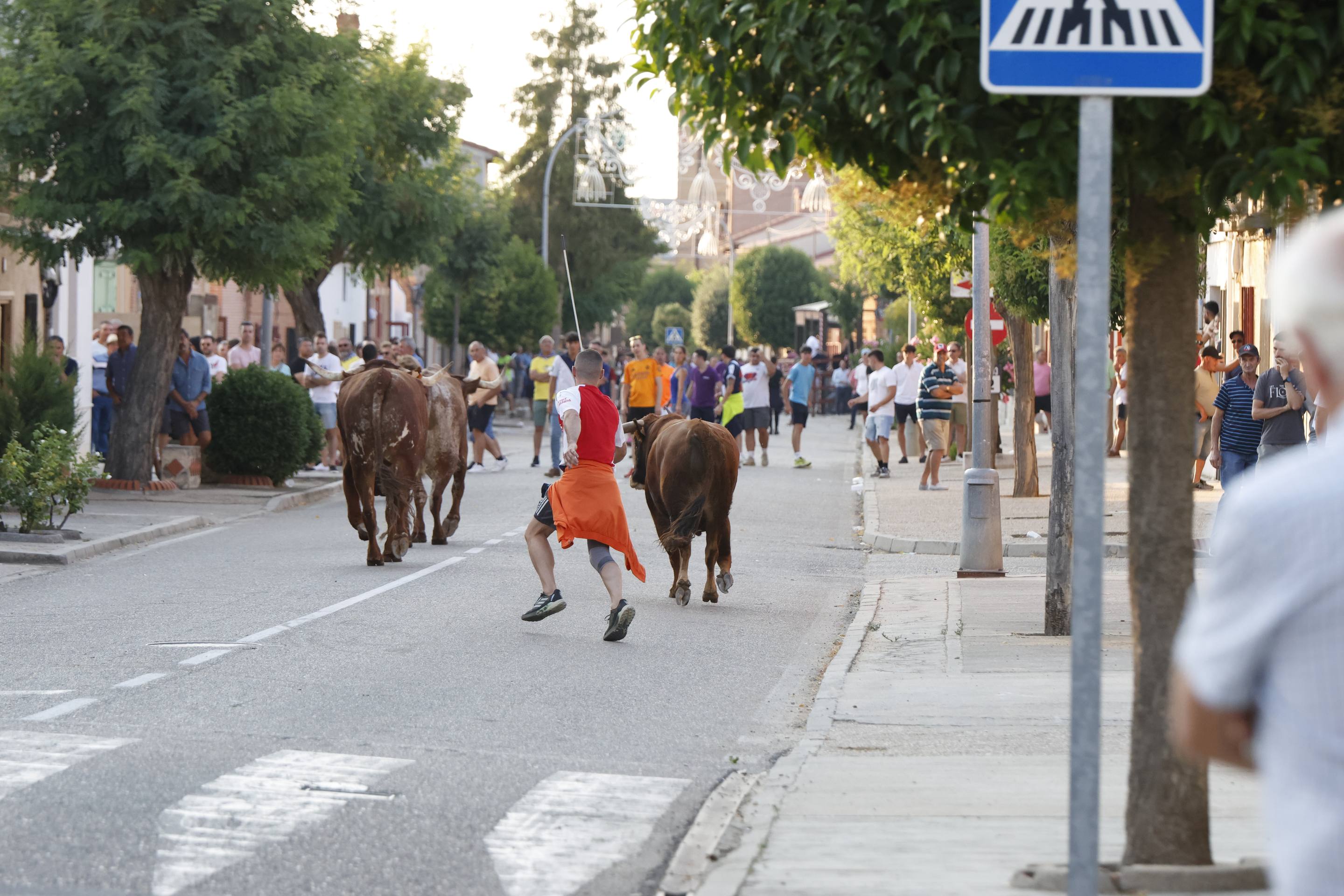 Las imágenes del encierro de La Seca