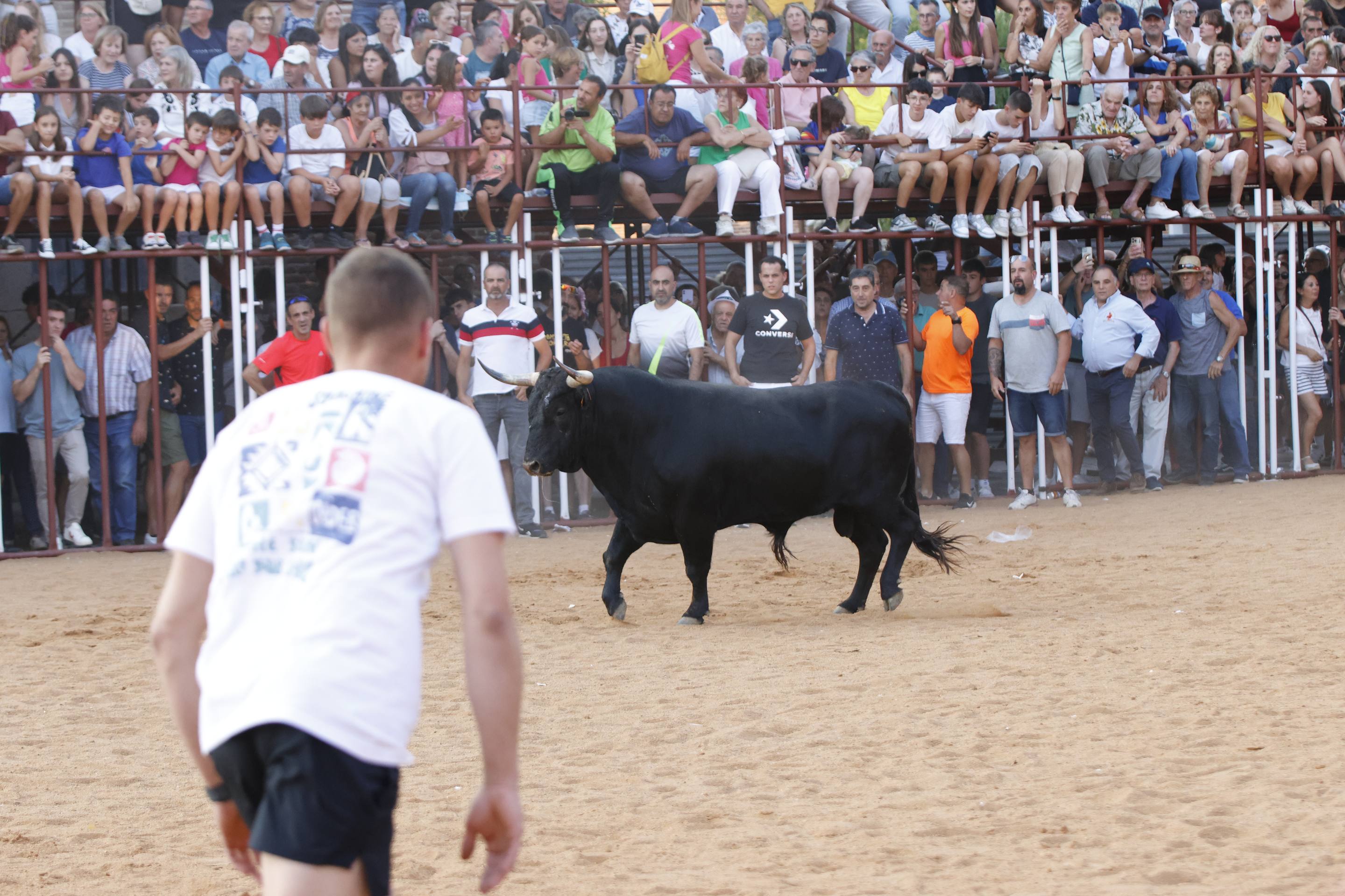 Las imágenes del encierro de La Seca