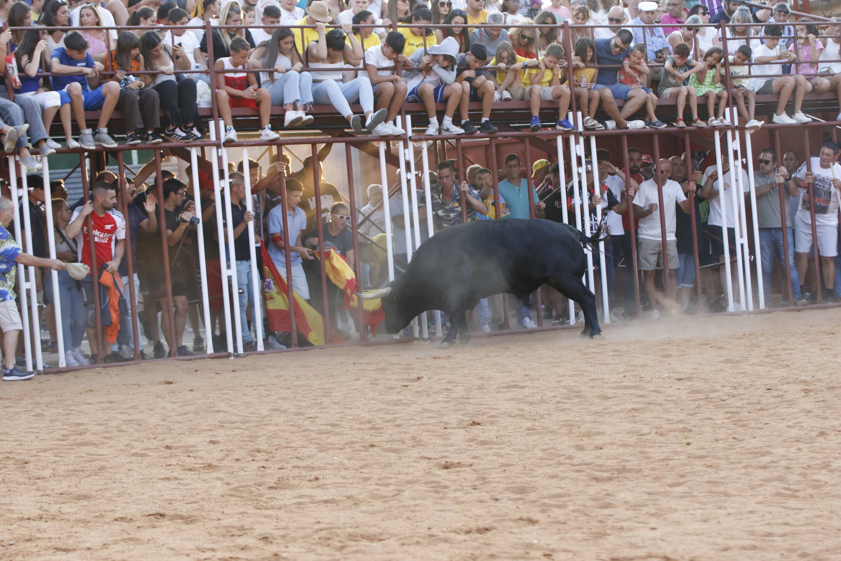 Las imágenes del encierro de La Seca
