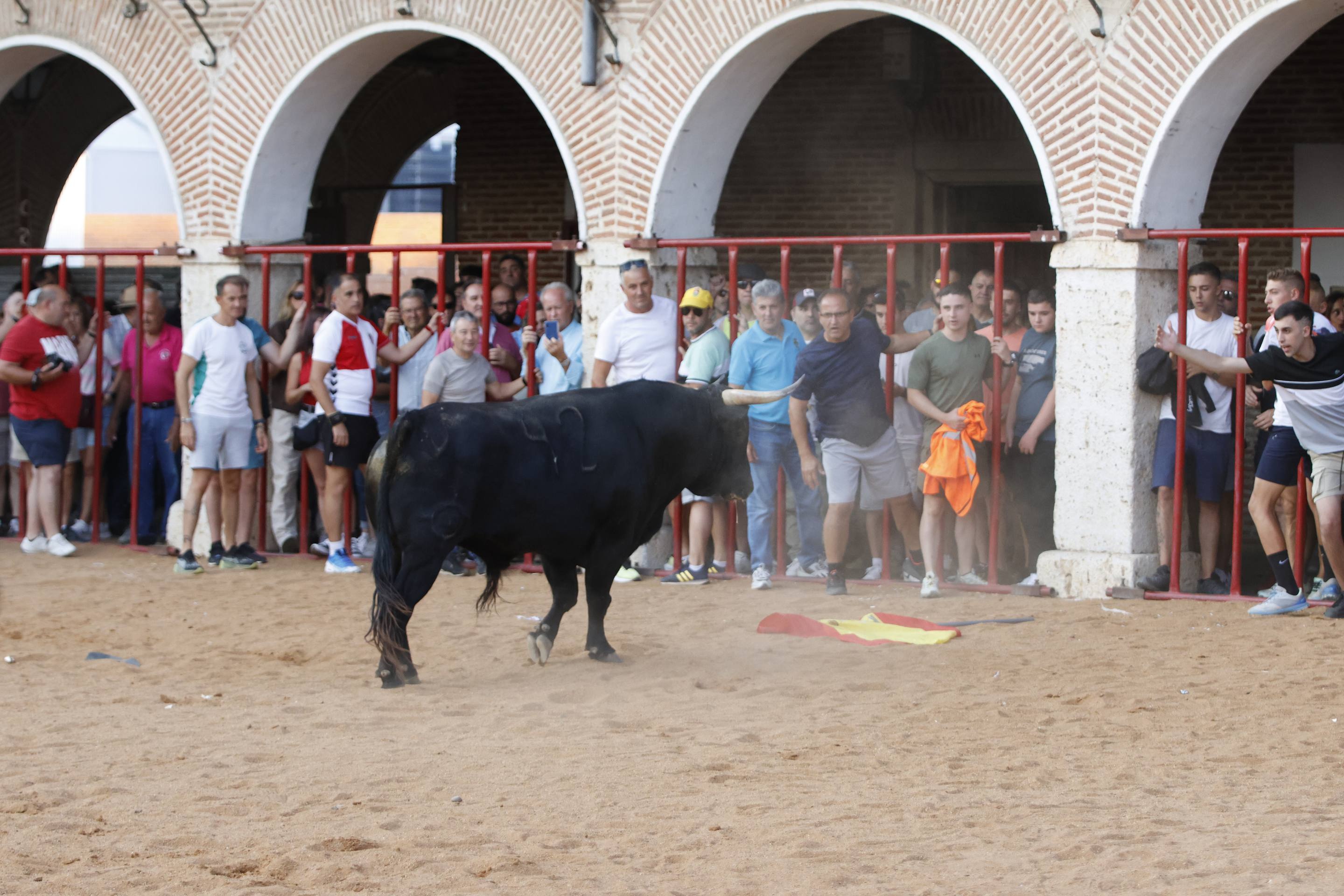 Las imágenes del encierro de La Seca