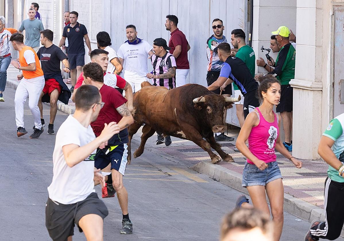 Encierro en las calles de Íscar.