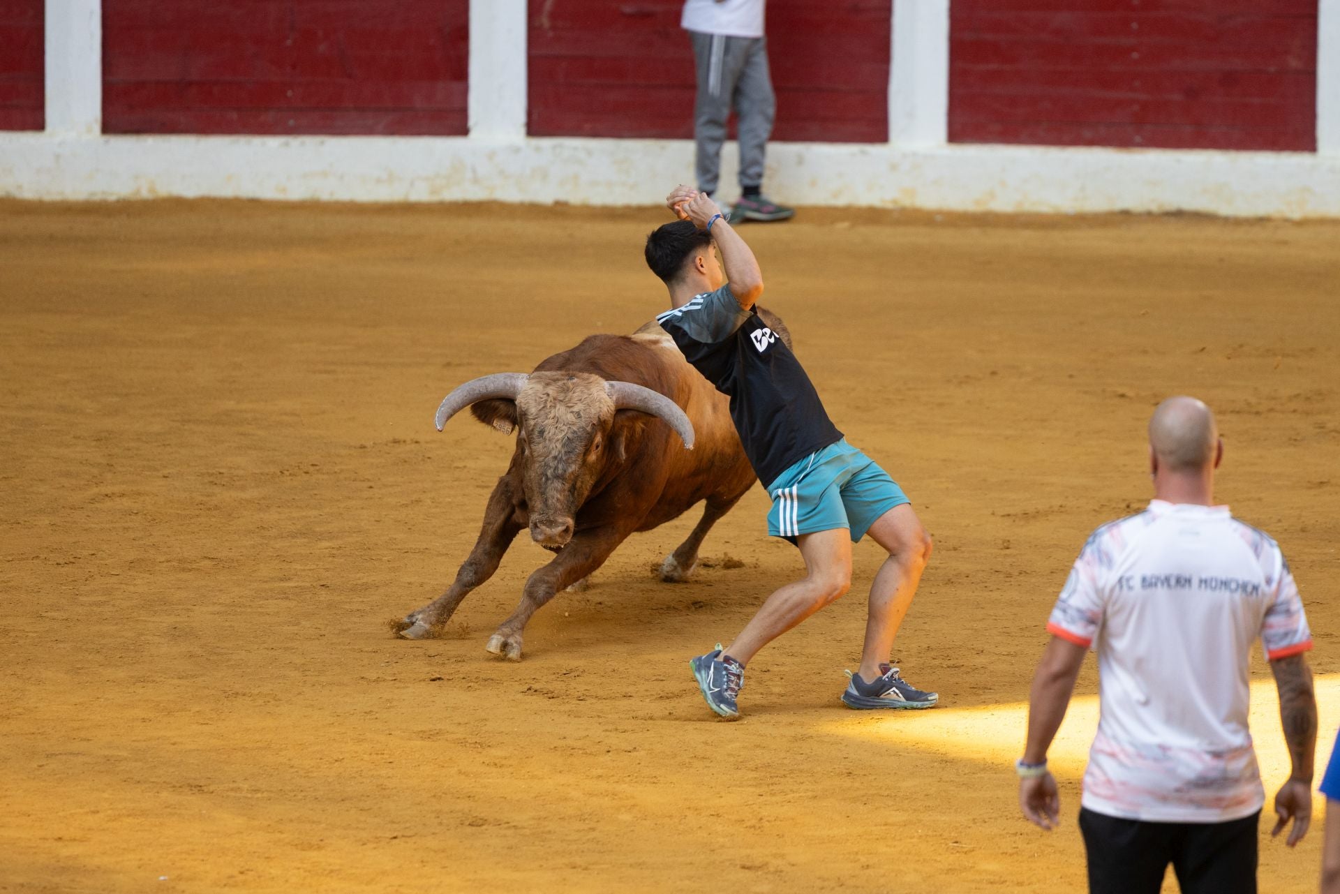 Encierro y probadilla en las fiestas de Íscar