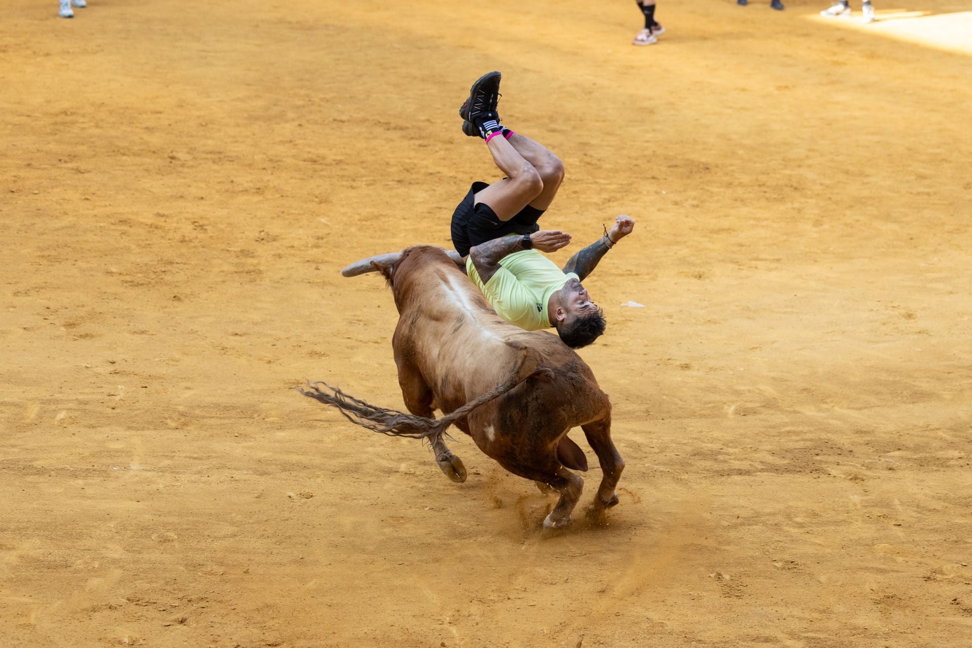Encierro y probadilla en las fiestas de Íscar