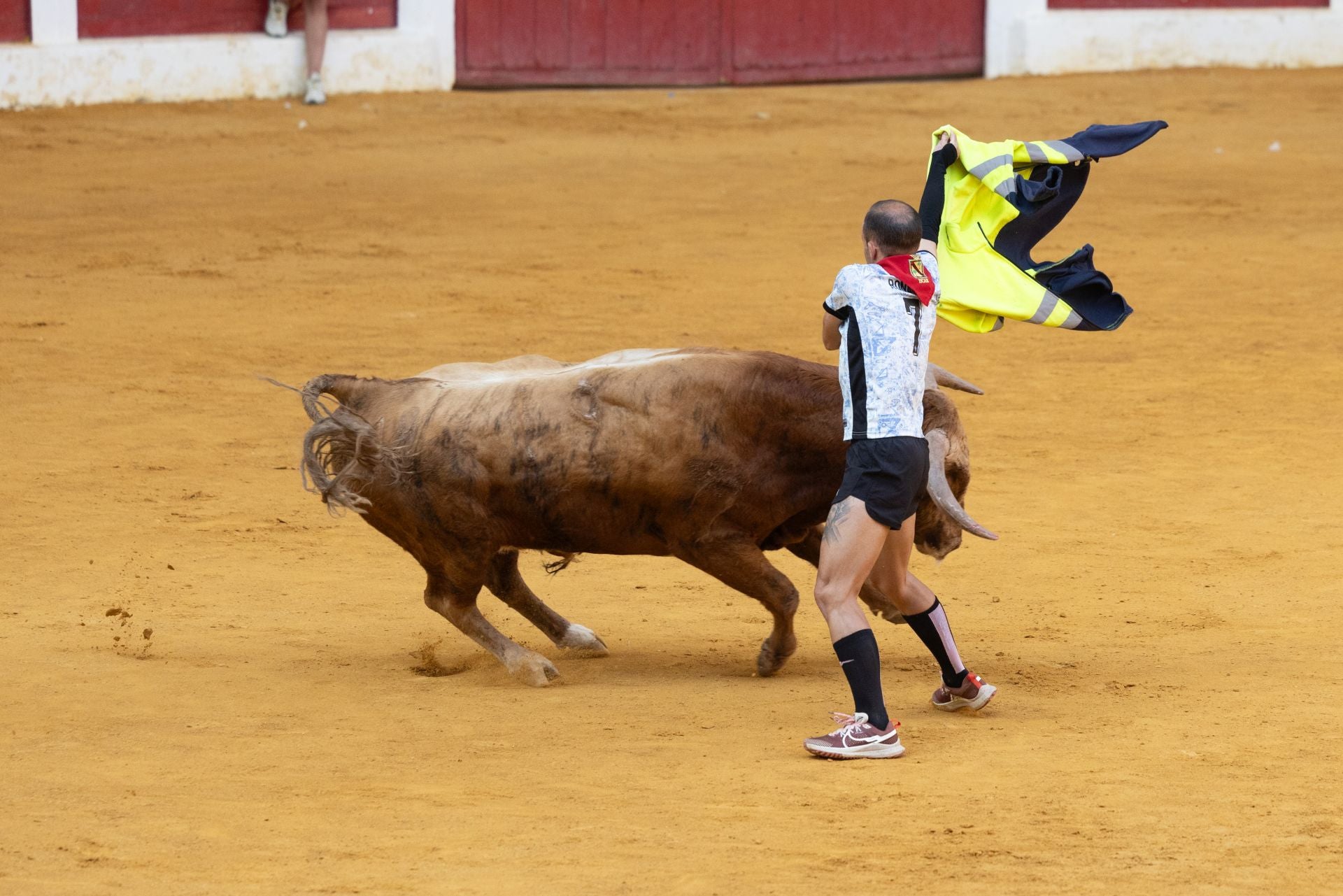 Encierro y probadilla en las fiestas de Íscar