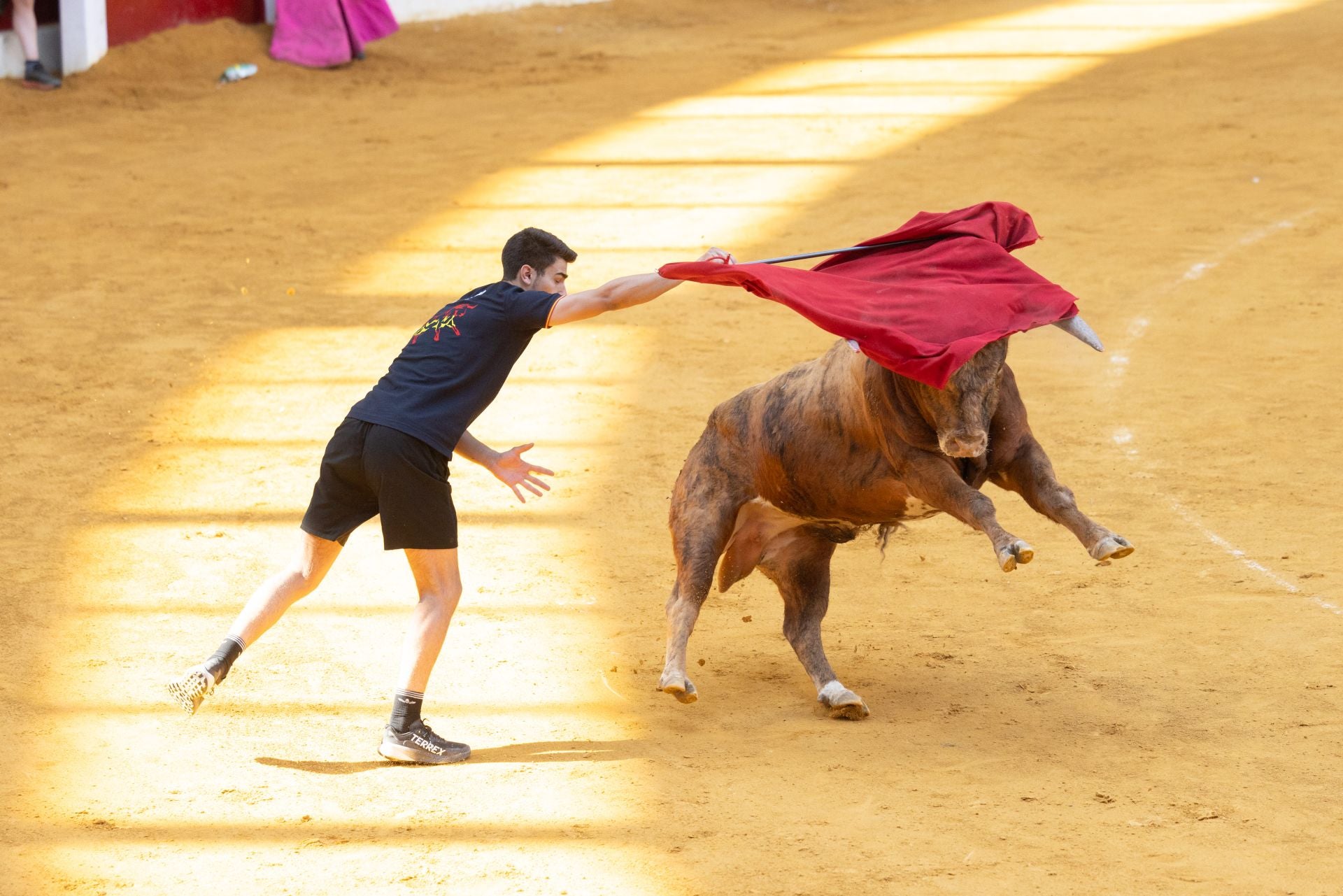 Encierro y probadilla en las fiestas de Íscar