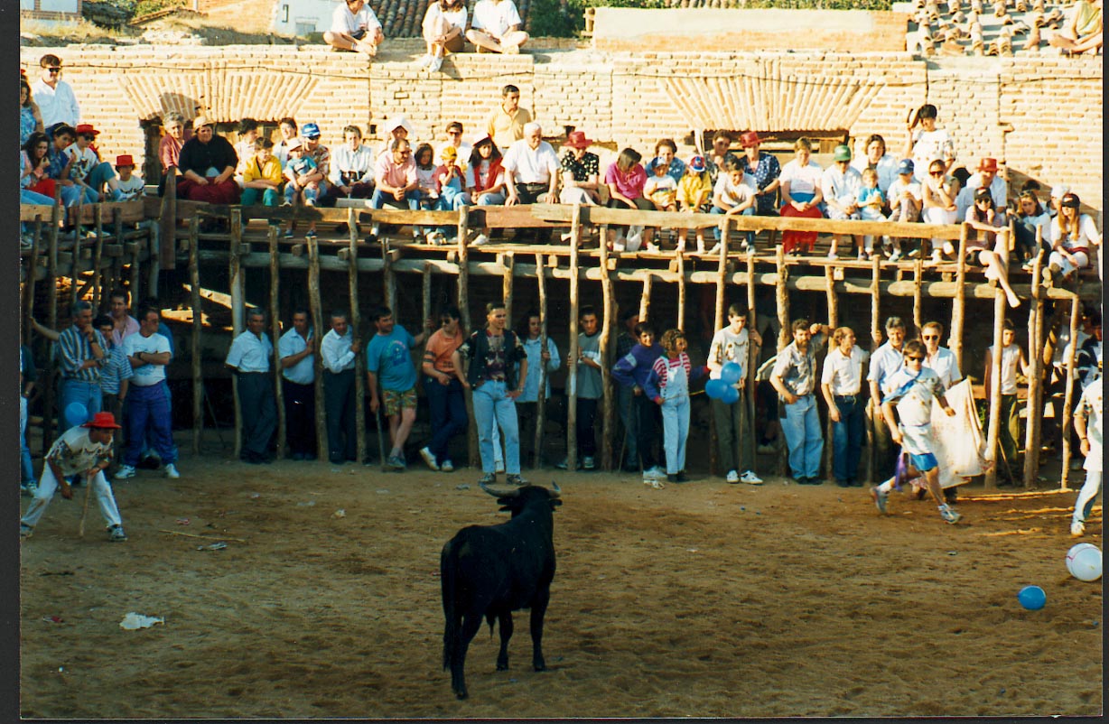 Vaquillas durante las fiestas de San Antonio en Villanueva de Duero. 1 de agosto de 1993.