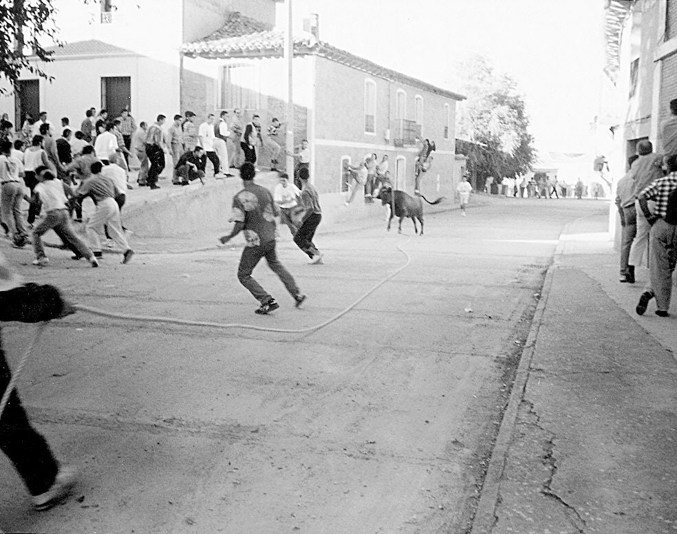Varios vecinos participan en el festejo de la vaca enmaromada en las fiestas de Palazuelo de Vedija. 18 de julio de 2000.