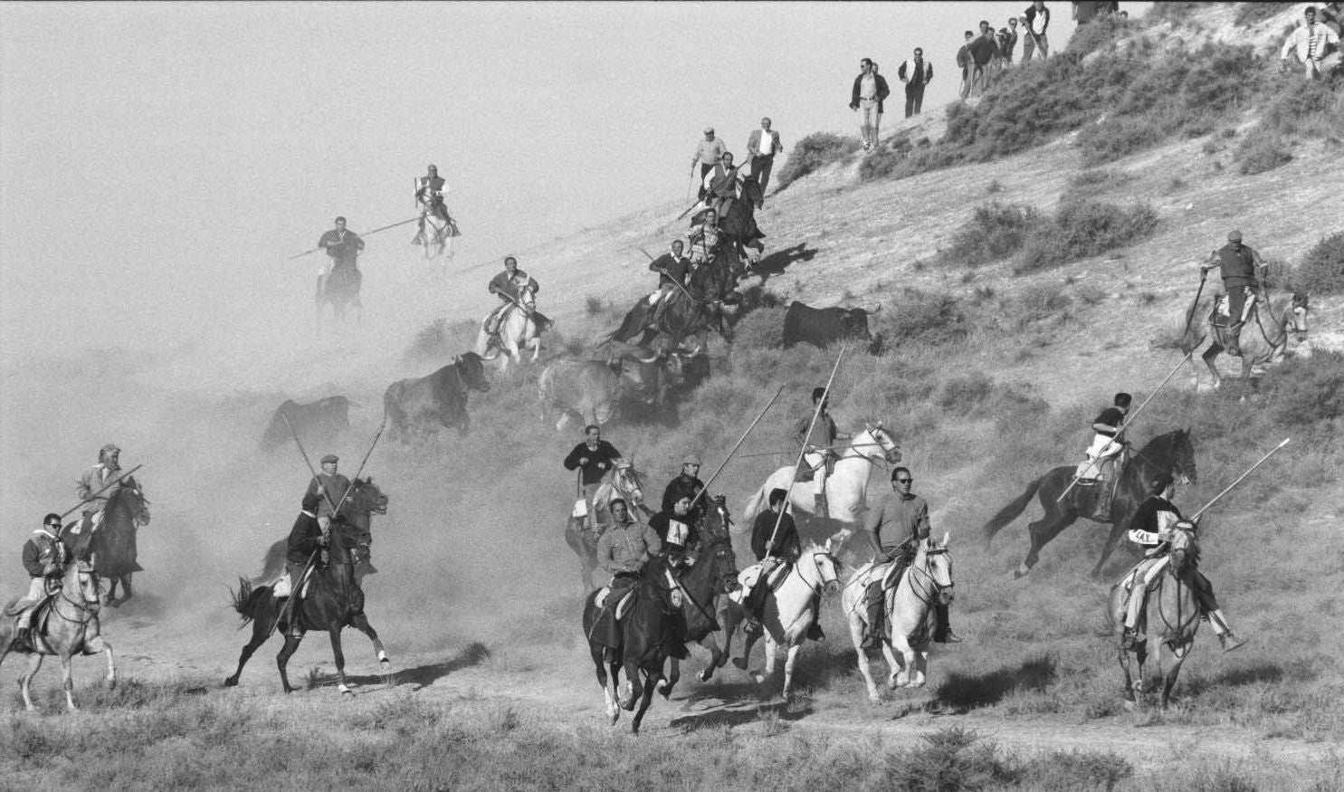 Encierros de las fiestas de Portillo. Septiembre de 1995.