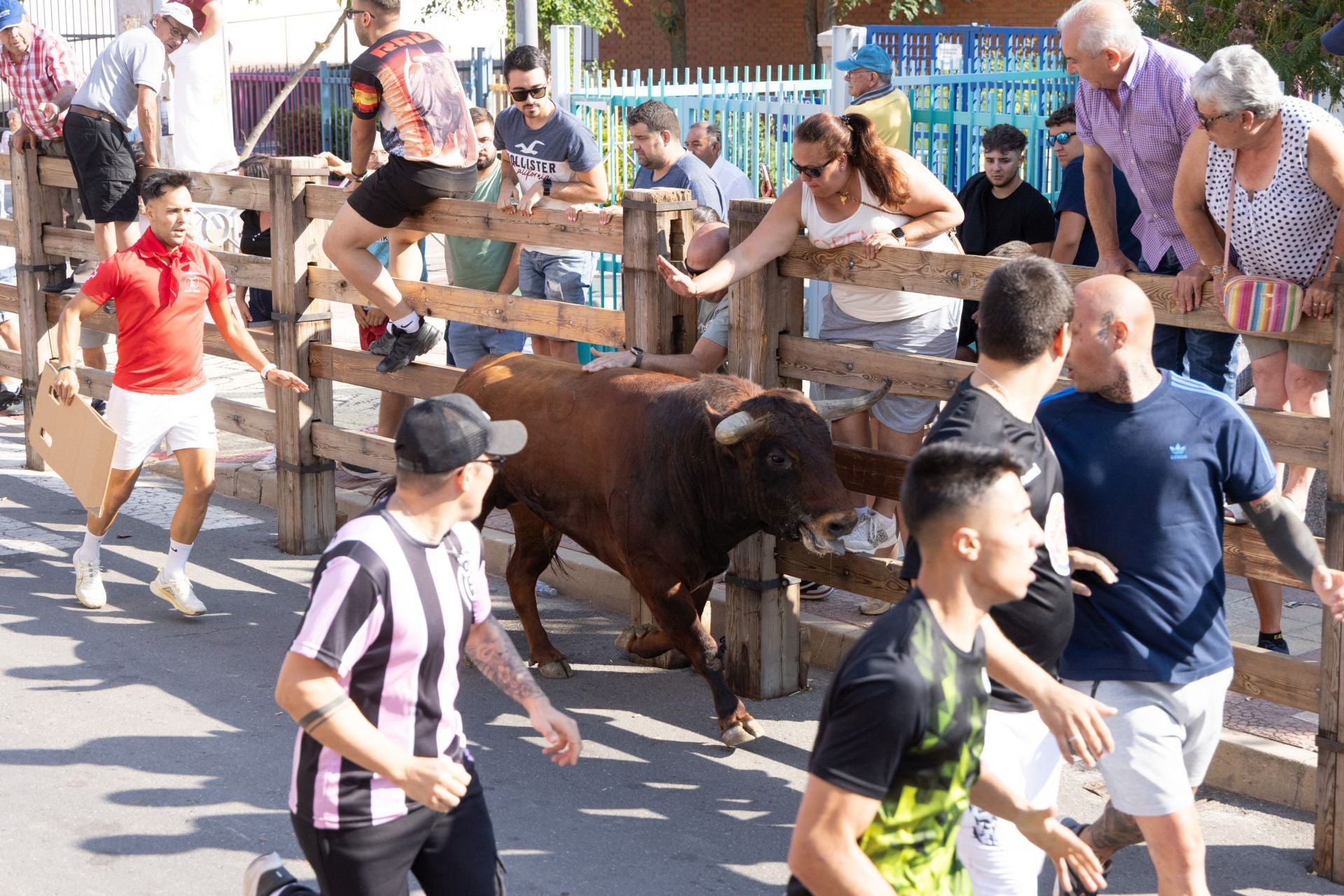 Los corredores del cuarto encierro de las fiestas Íscar.