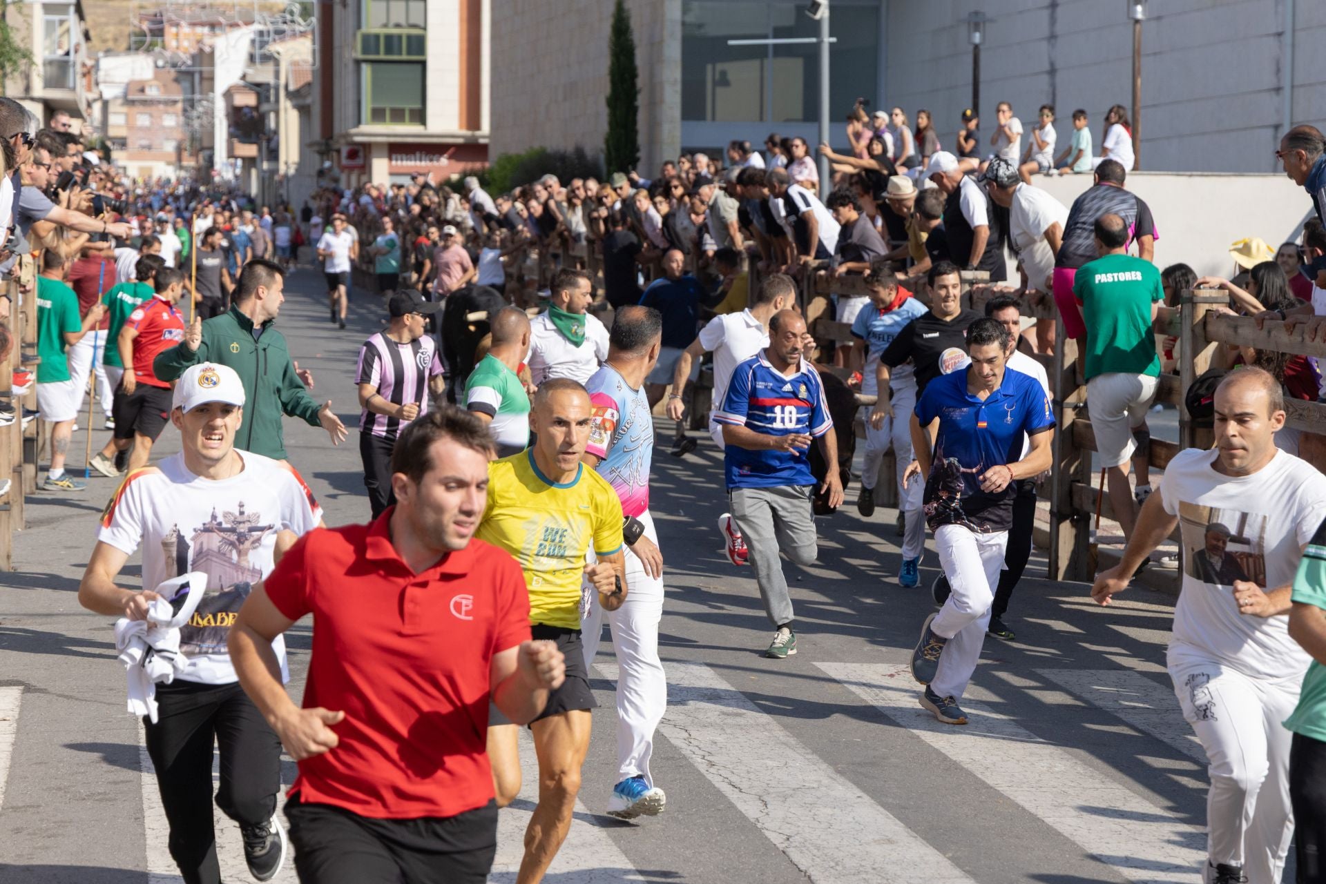 Los corredores del cuarto encierro de las fiestas Íscar.