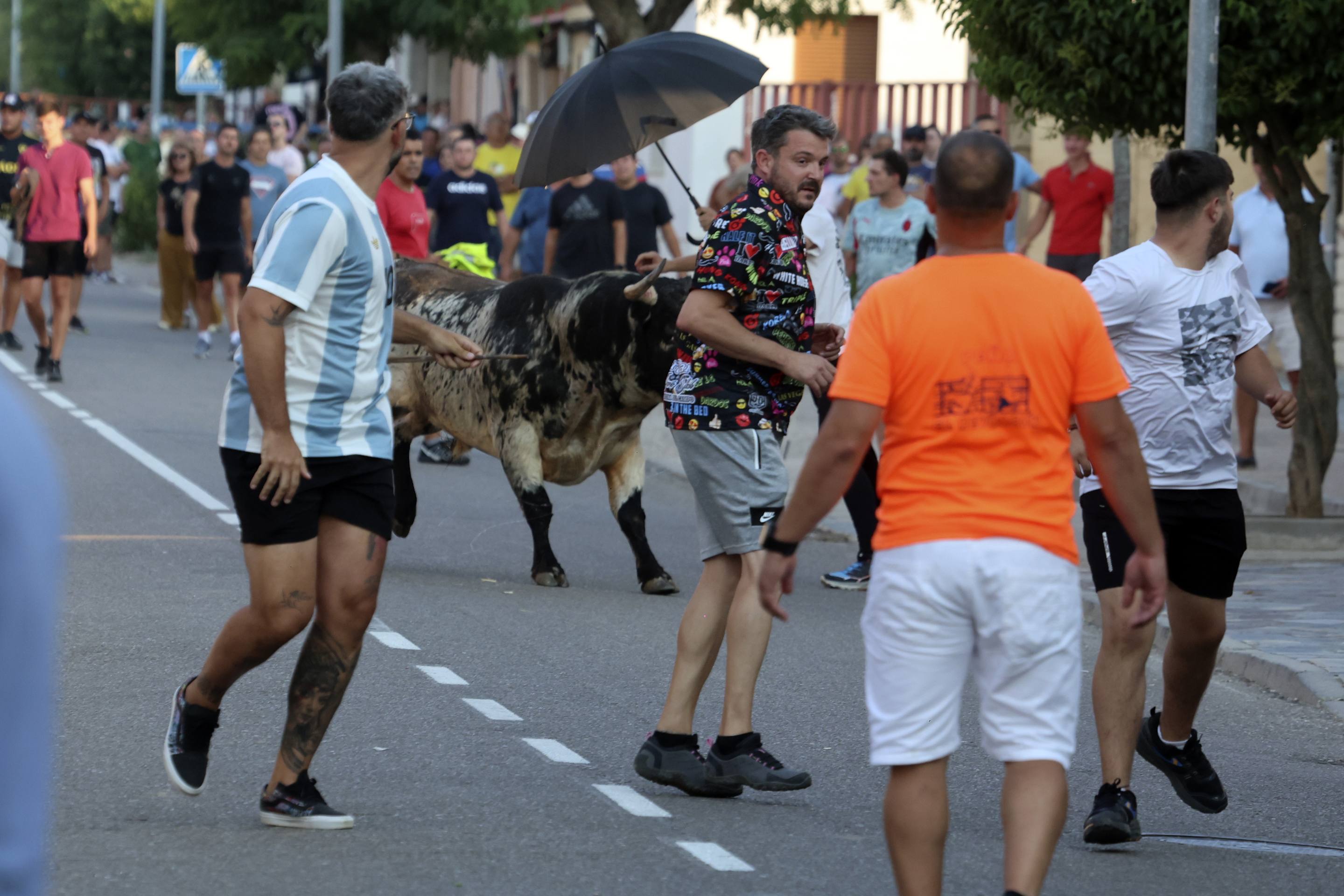 La jornada taurina en La Seca, en imágenes