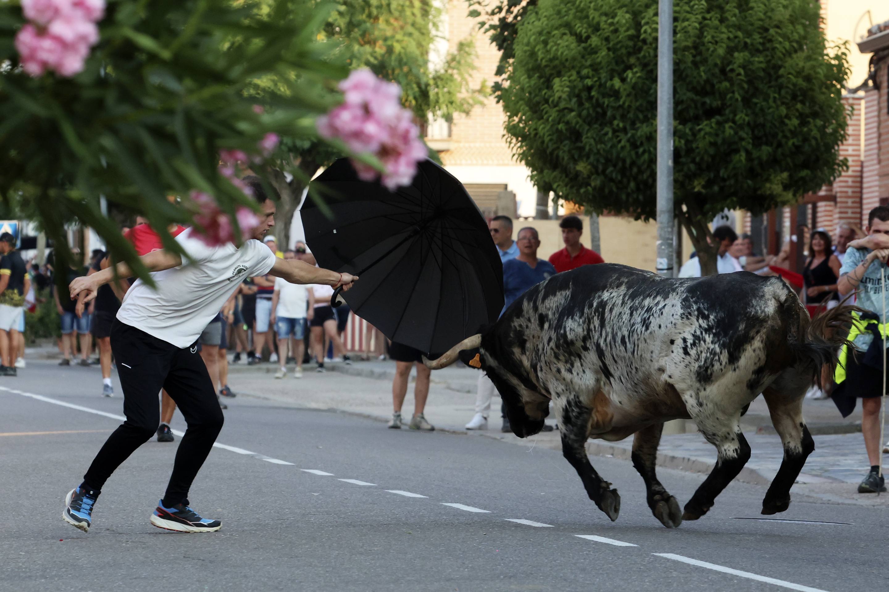 La jornada taurina en La Seca, en imágenes