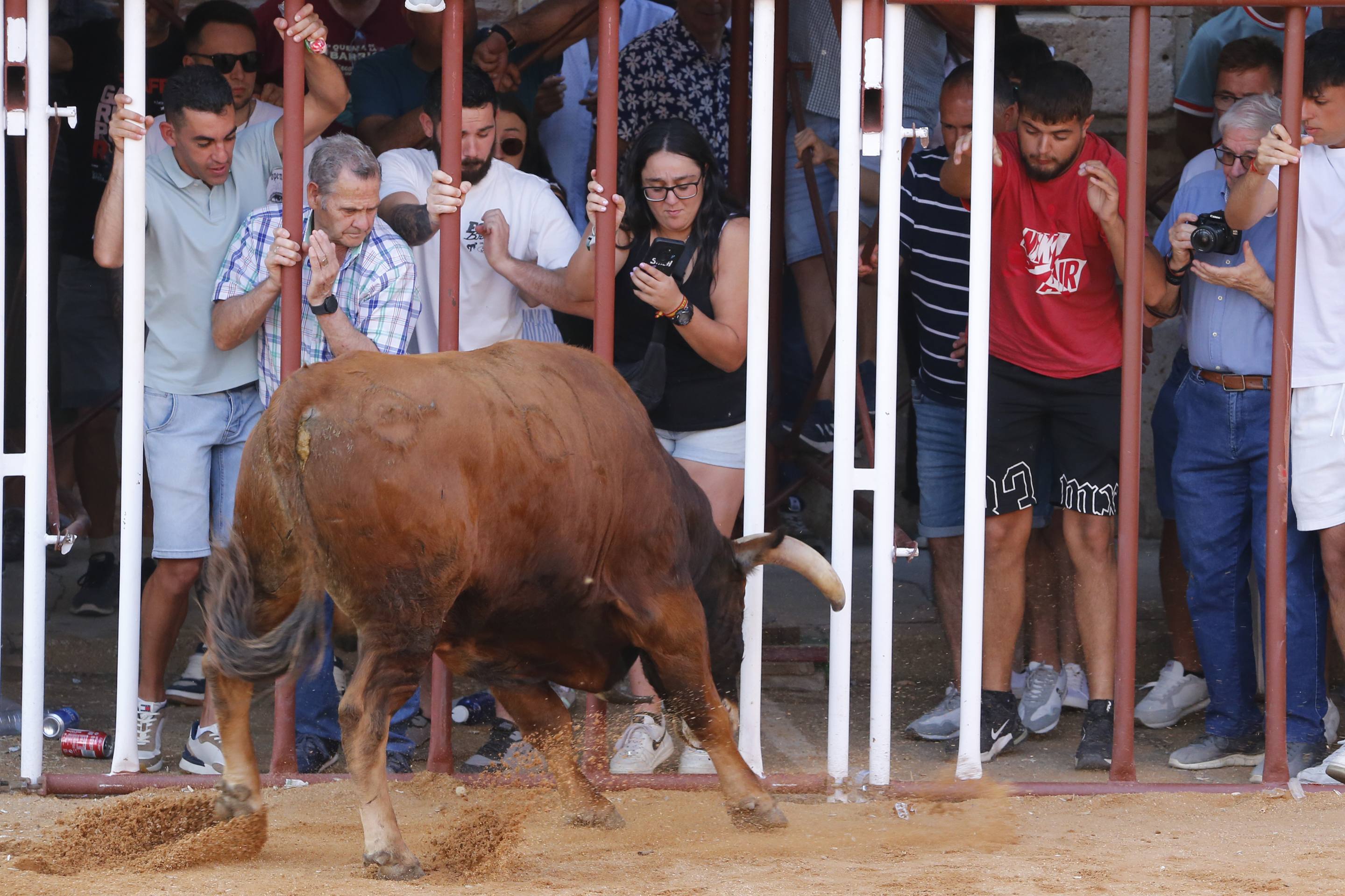 La jornada taurina en La Seca, en imágenes