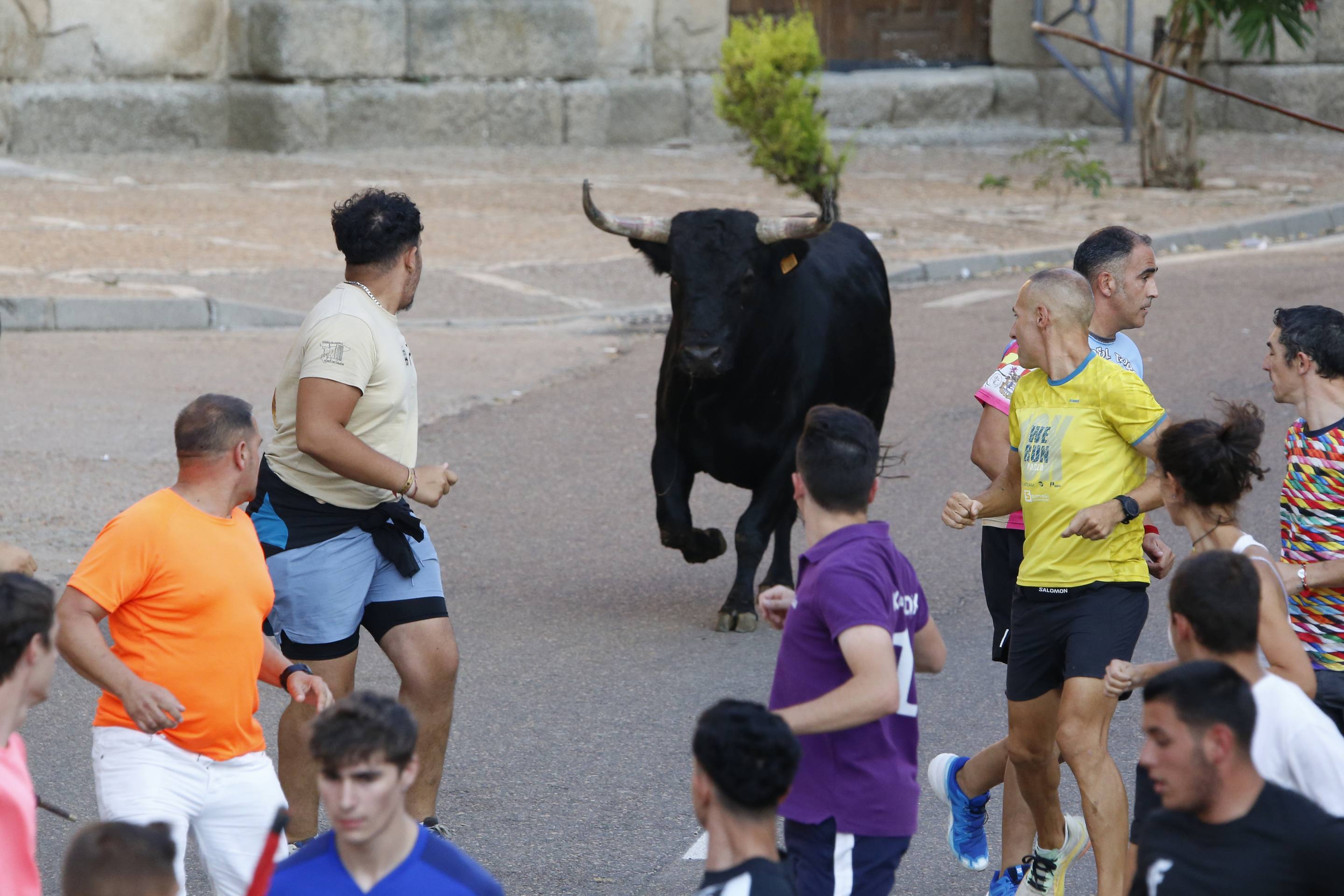 La jornada taurina en La Seca, en imágenes