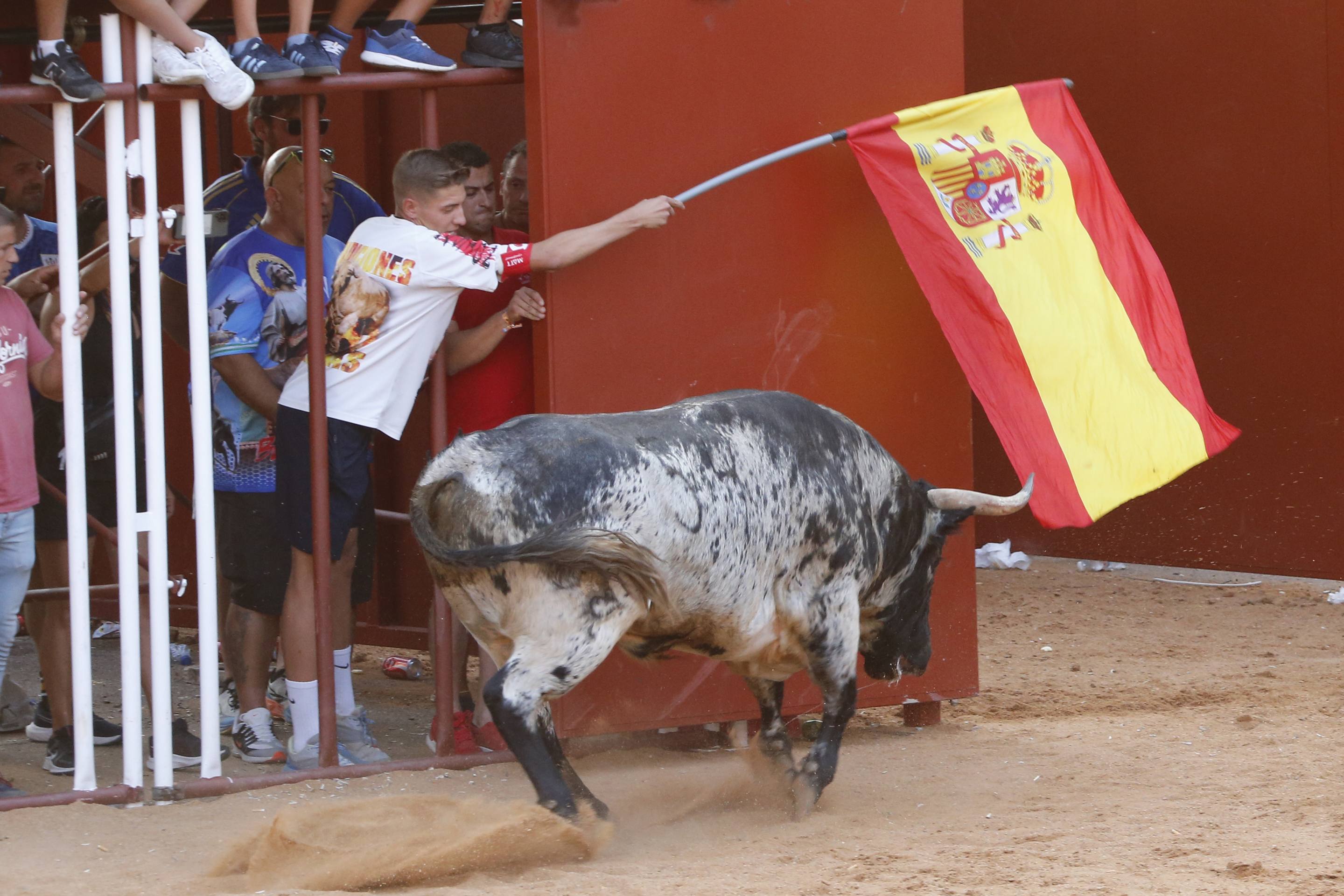 La jornada taurina en La Seca, en imágenes