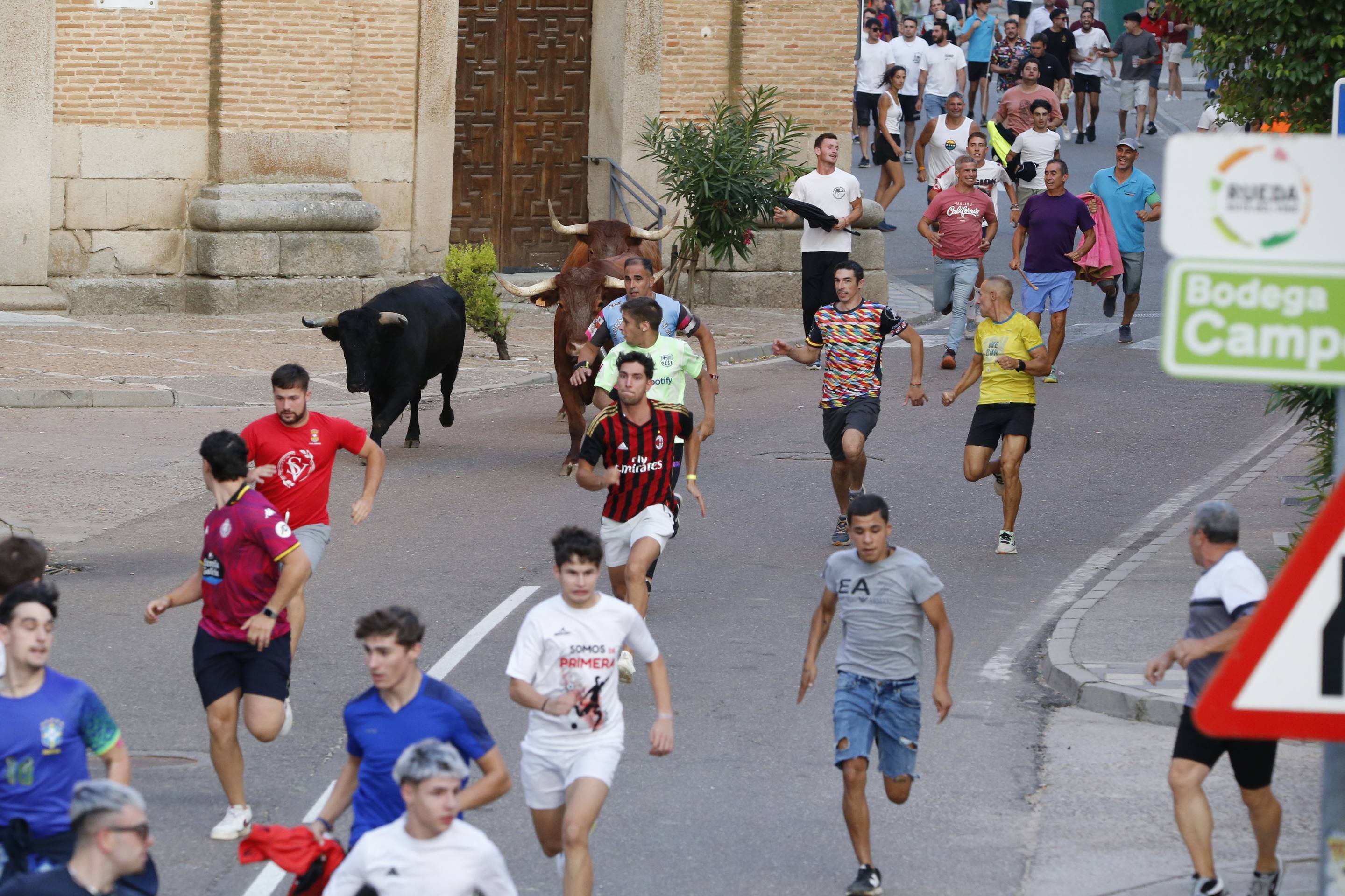 La jornada taurina en La Seca, en imágenes