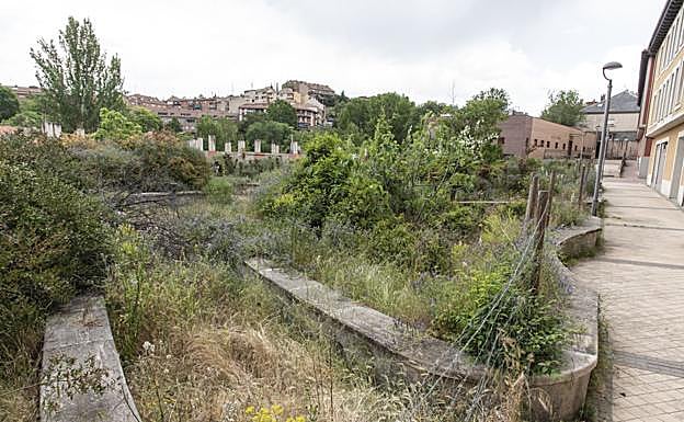 La vegetación crece de manera desordenada en la zona de la plaza Luis Conde de la Cruz.