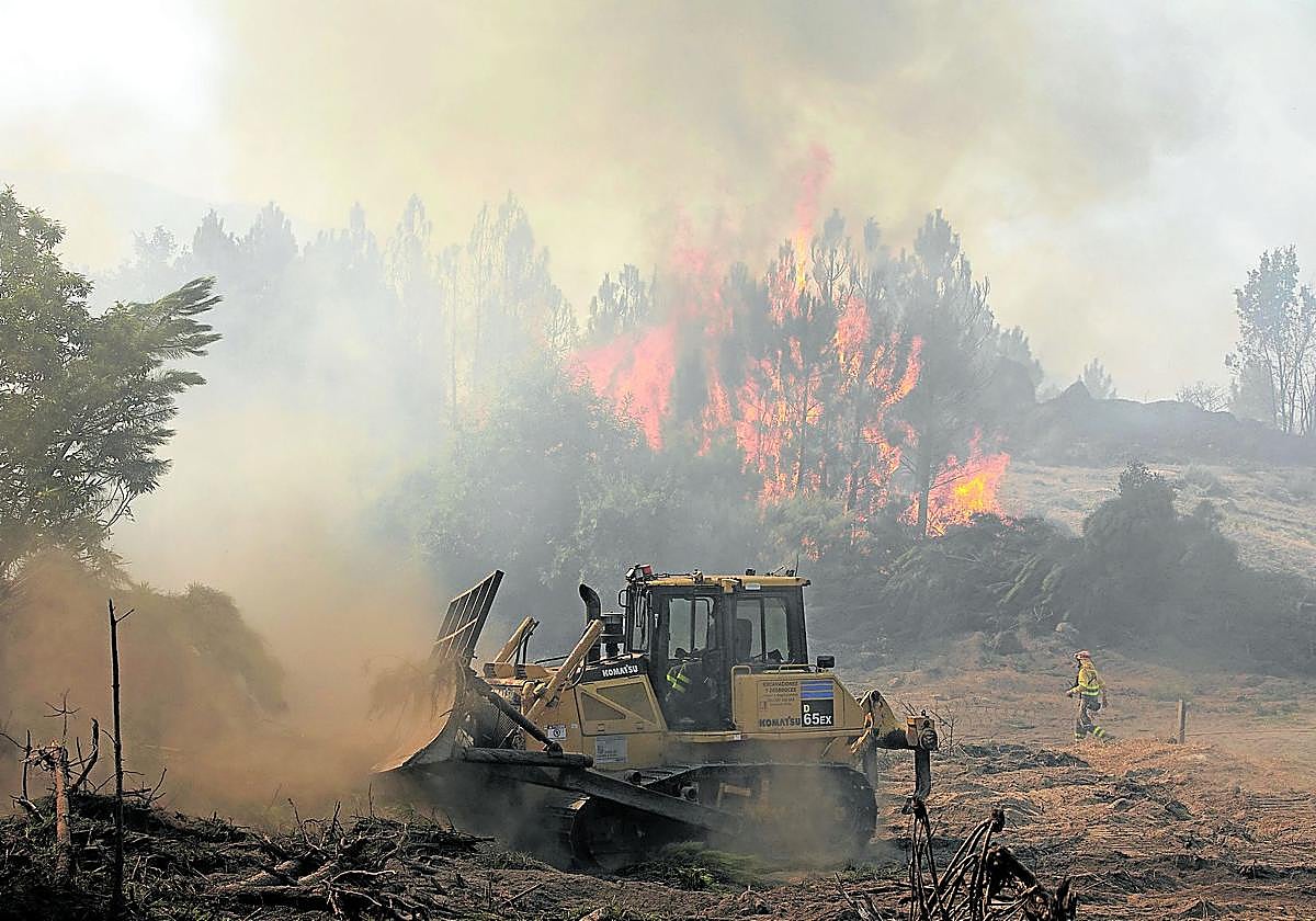 Efectivos trabajan en el incendio de Cuevas del Valle, durante la semana pasada.