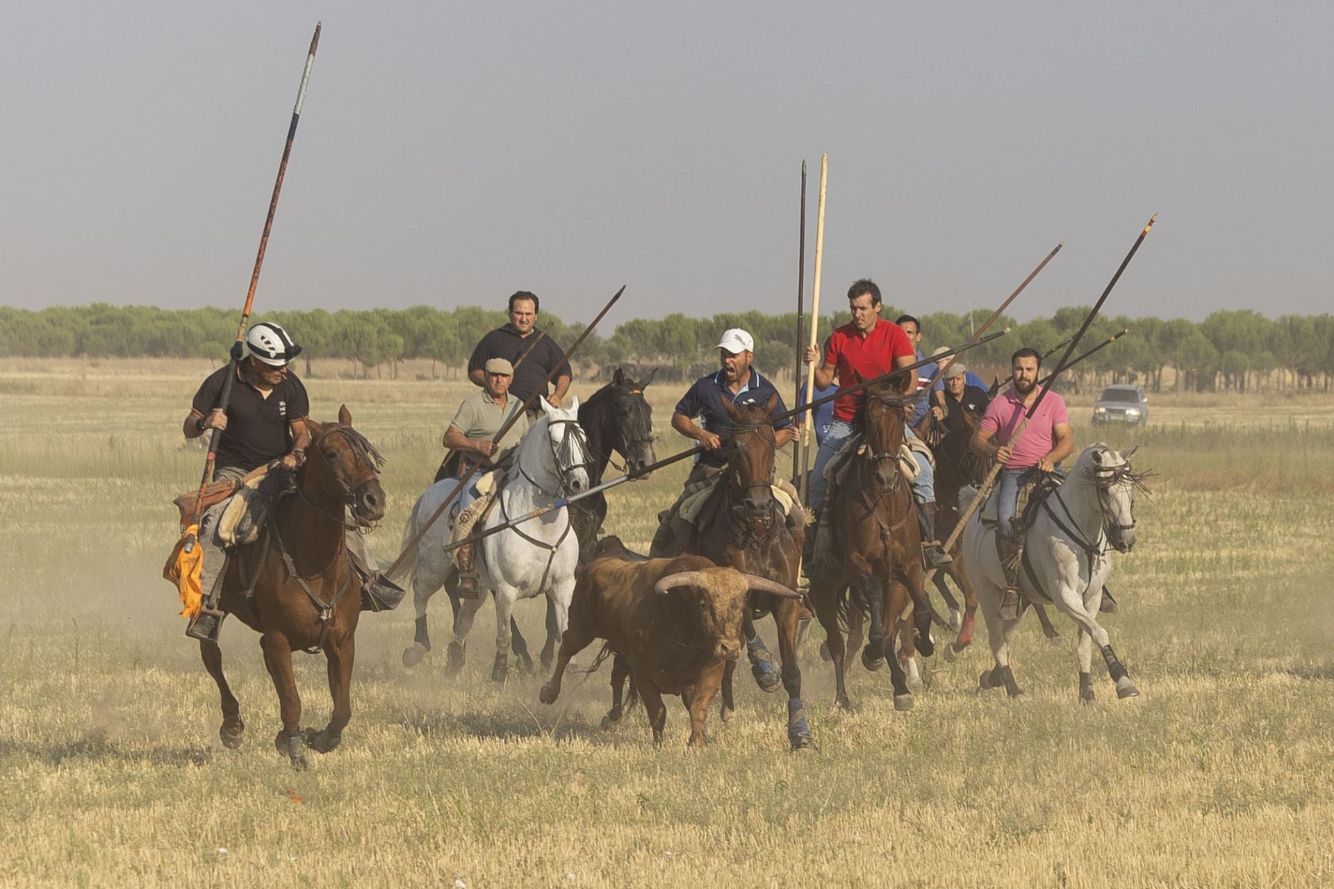 Las imágenes del encierro mixto de Íscar