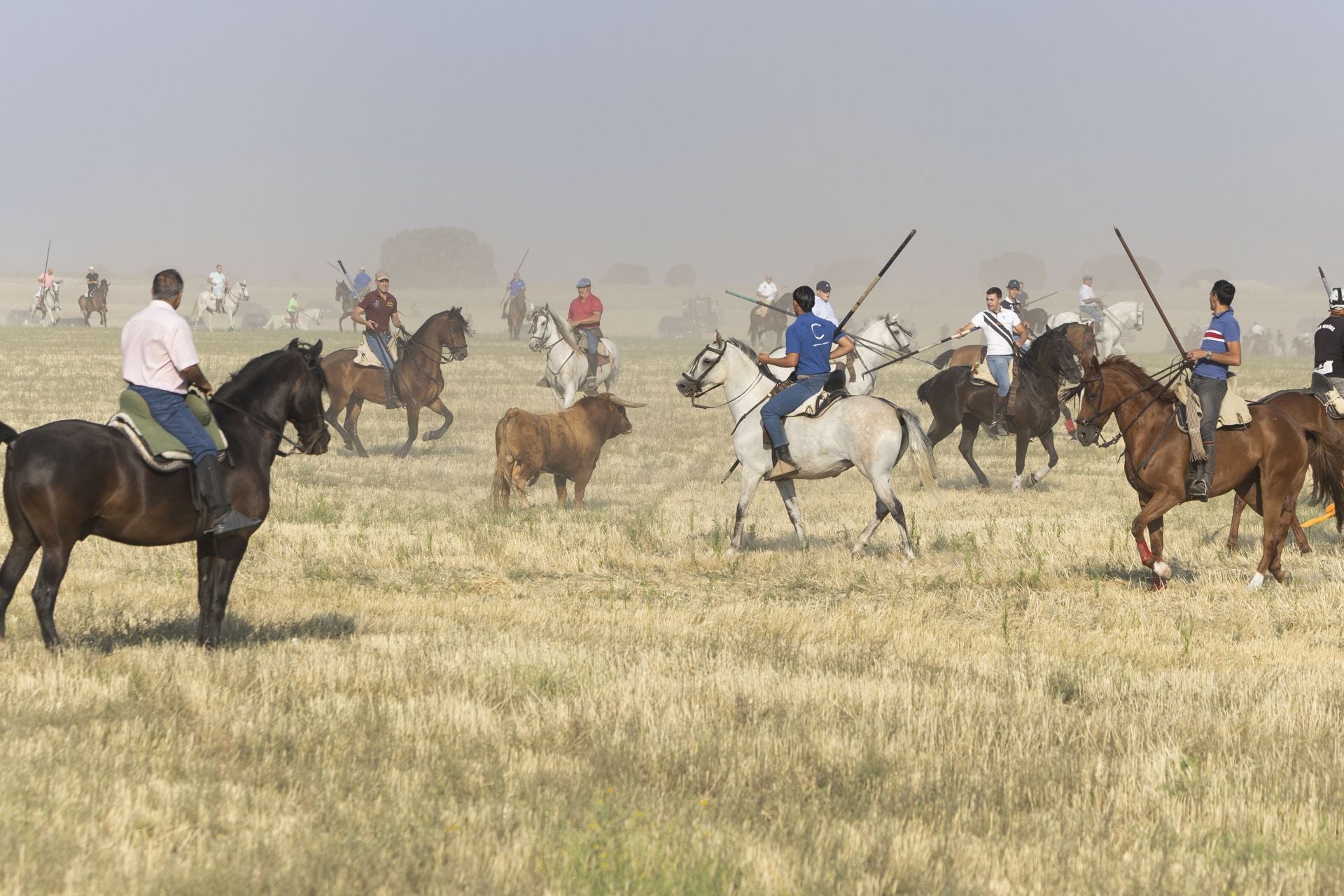 Las imágenes del encierro mixto de Íscar