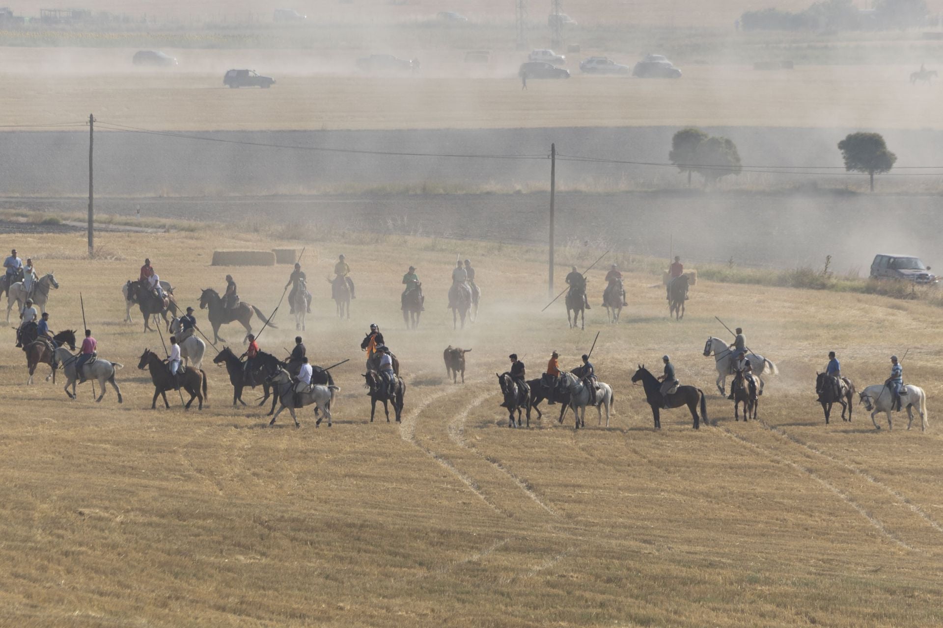 Las imágenes del encierro mixto de Íscar