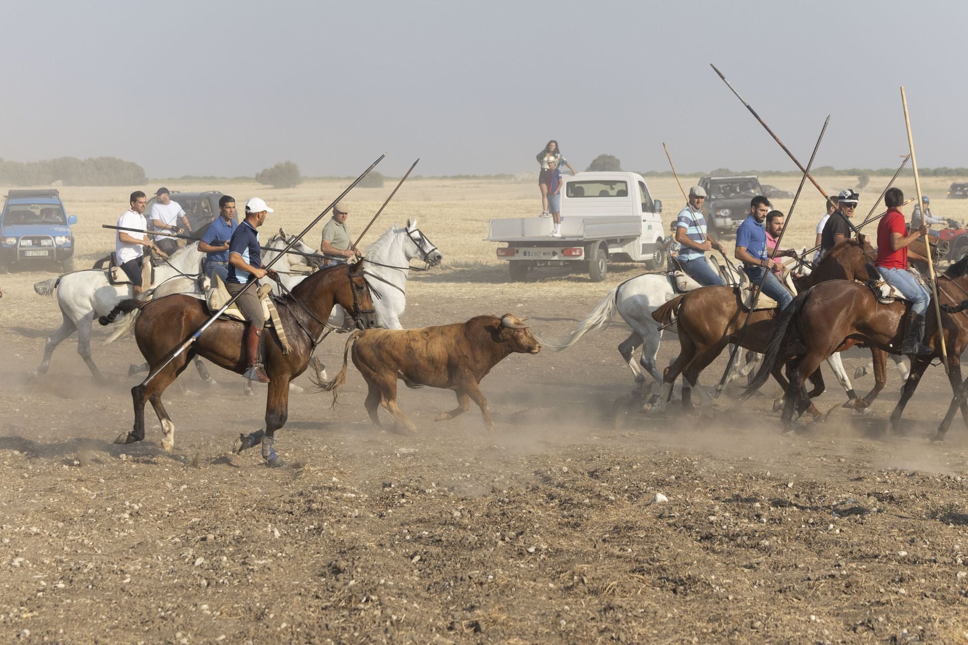 Las imágenes del encierro mixto de Íscar