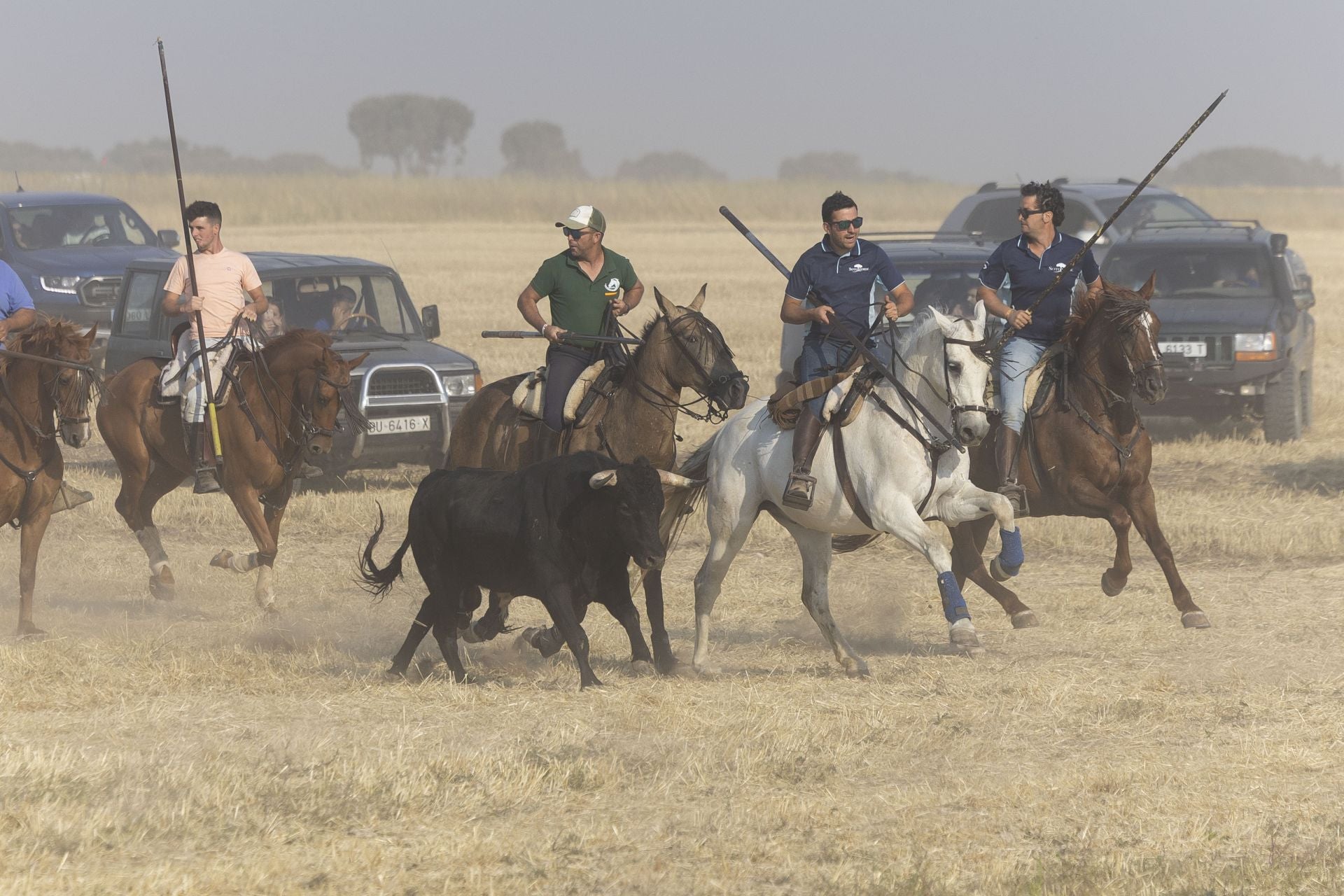 Las imágenes del encierro mixto de Íscar