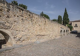 Muro del Acueducto al que pertenece la roca que se intentó subastar.