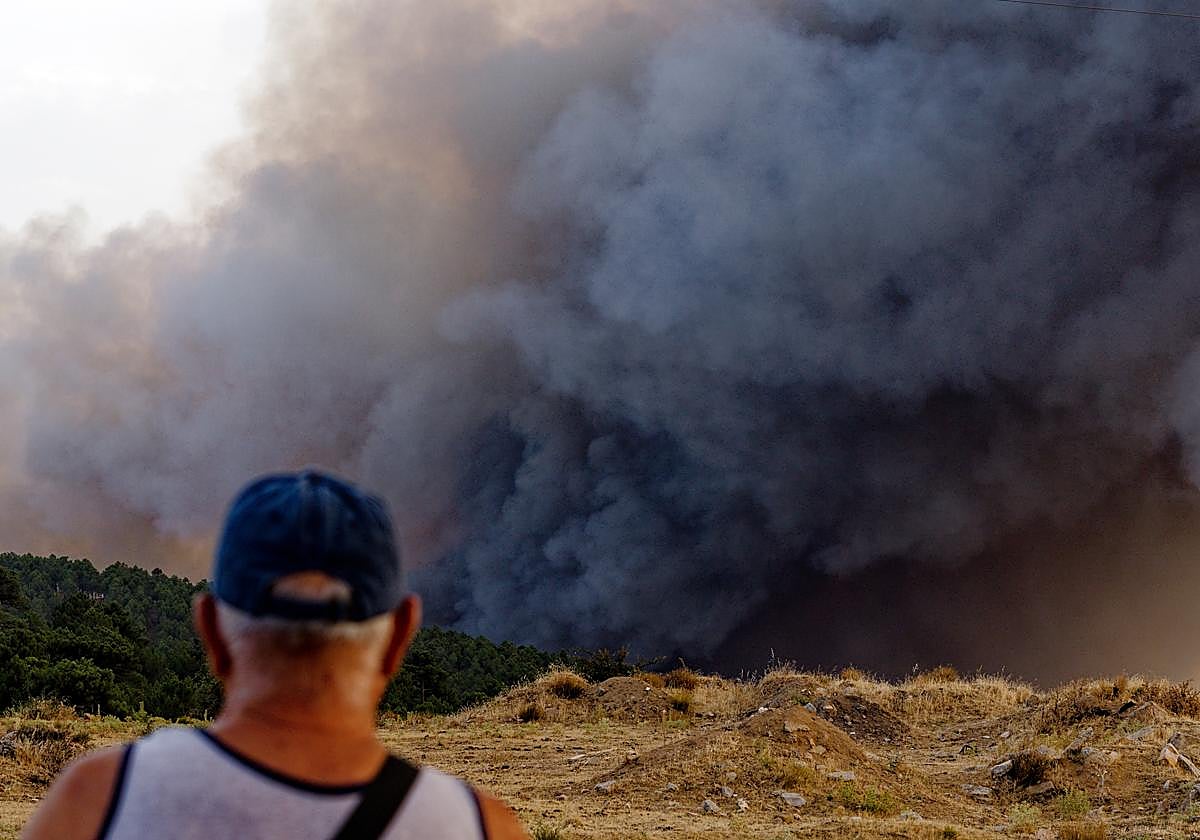 Vista del incendio originado en San Bartolomé de Pinares, durante esta tarde.