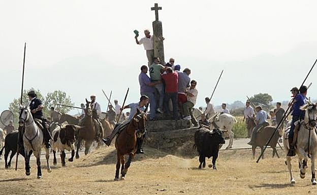 Un momento del encierro de Fuenteguinaldo, en Salamanca.
