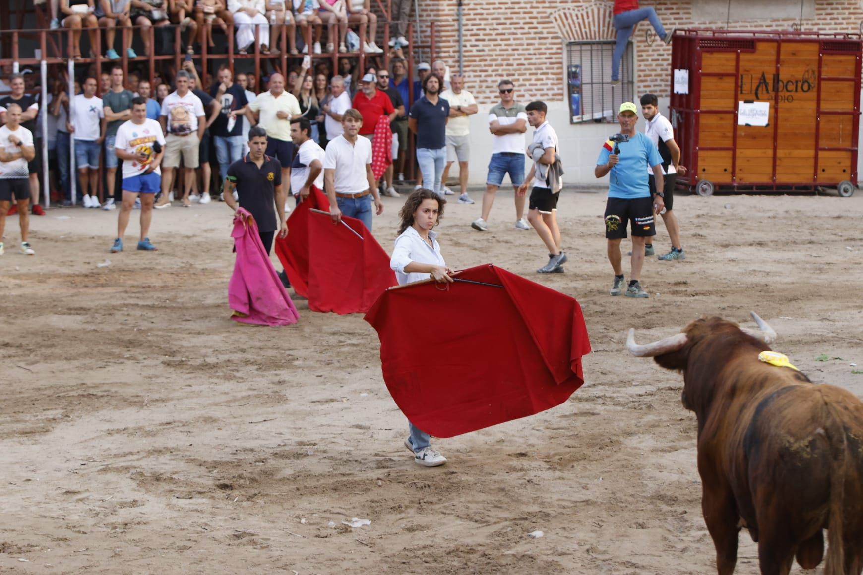Las imágenes del VII Toro del Caño en Castrejón de Trabancos