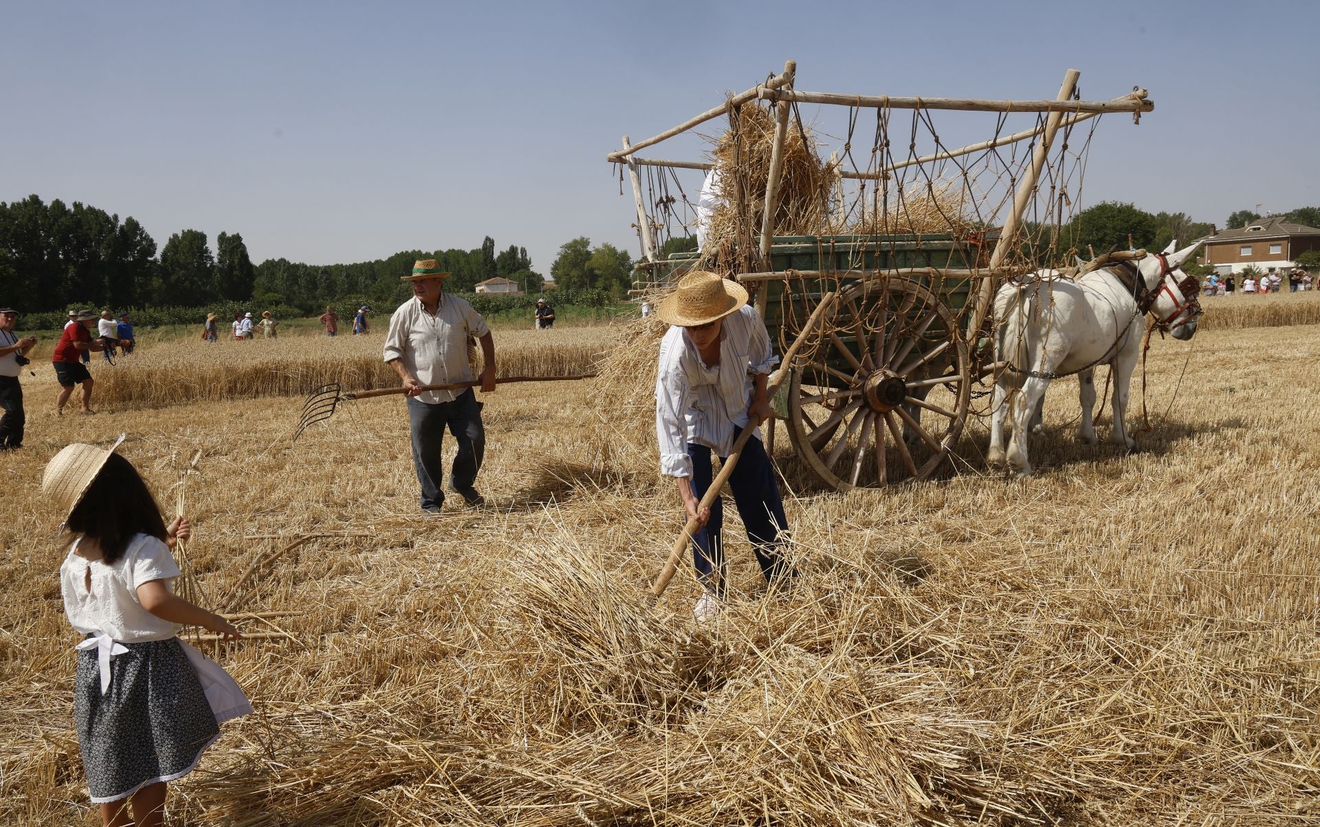 Castrillo de Villavega retrocede al pasado con la Fiesta de la Trilla