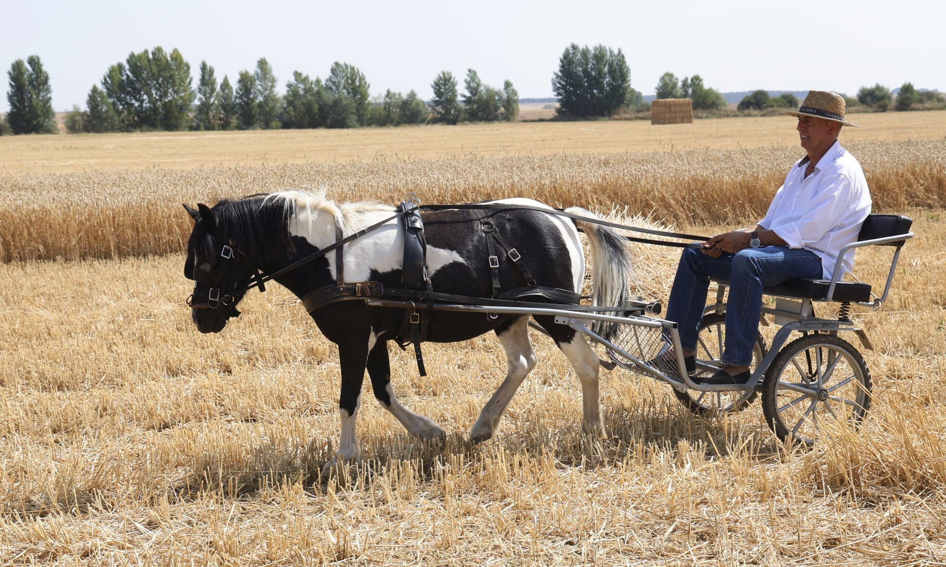 Castrillo de Villavega retrocede al pasado con la Fiesta de la Trilla