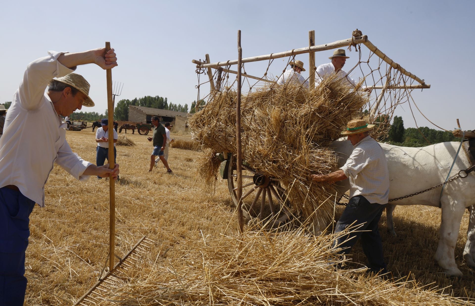 Castrillo de Villavega retrocede al pasado con la Fiesta de la Trilla