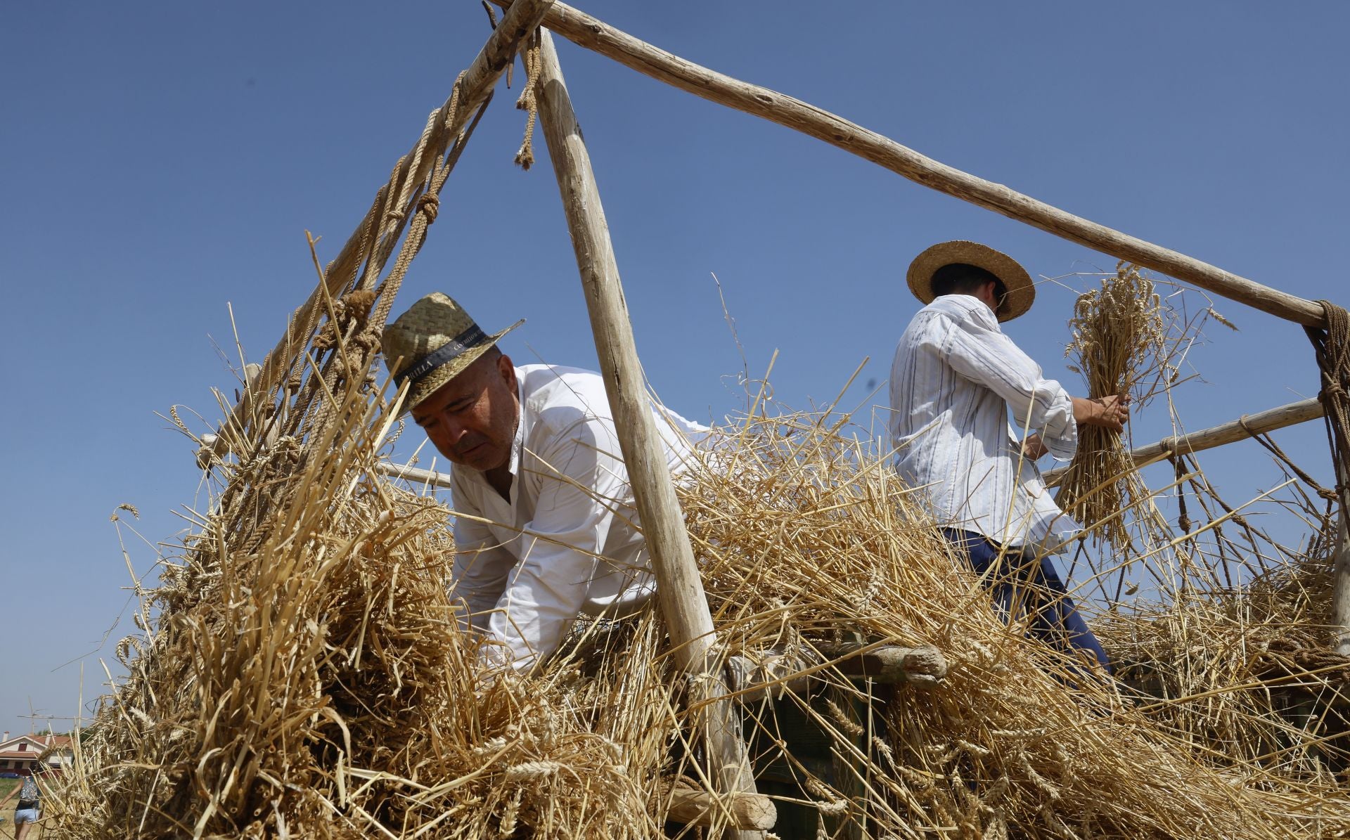 Castrillo de Villavega retrocede al pasado con la Fiesta de la Trilla