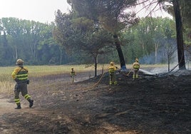 Trabajos para extinguir el conato de incendio de este sábado en Cuéllar.