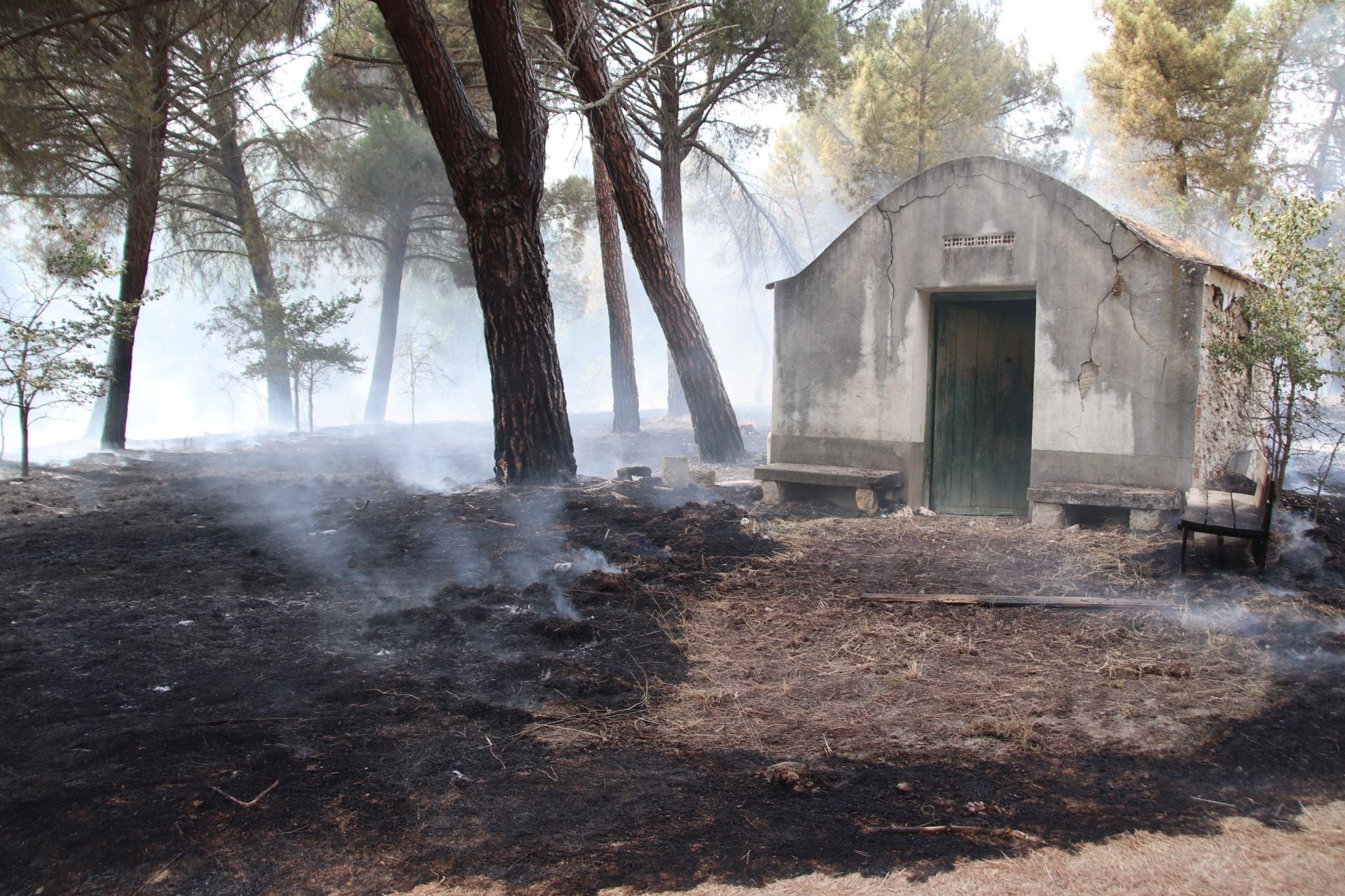 Fotos del incendio en Cuéllar junto al río Cega