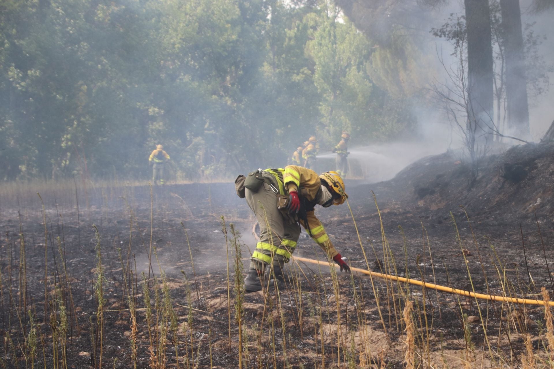 Fotos del incendio en Cuéllar junto al río Cega