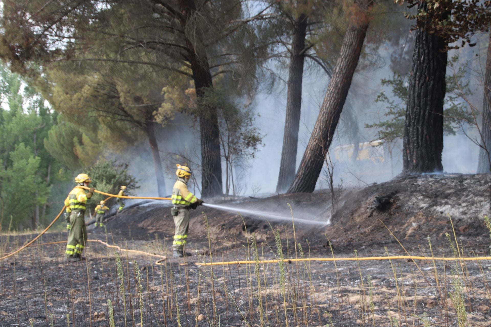 Fotos del incendio en Cuéllar junto al río Cega