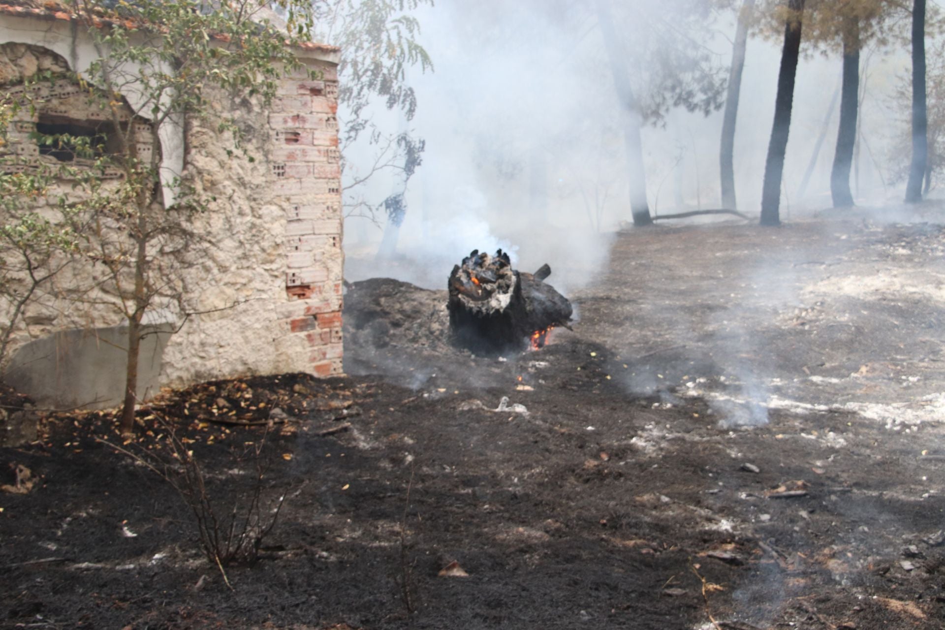 Fotos del incendio en Cuéllar junto al río Cega