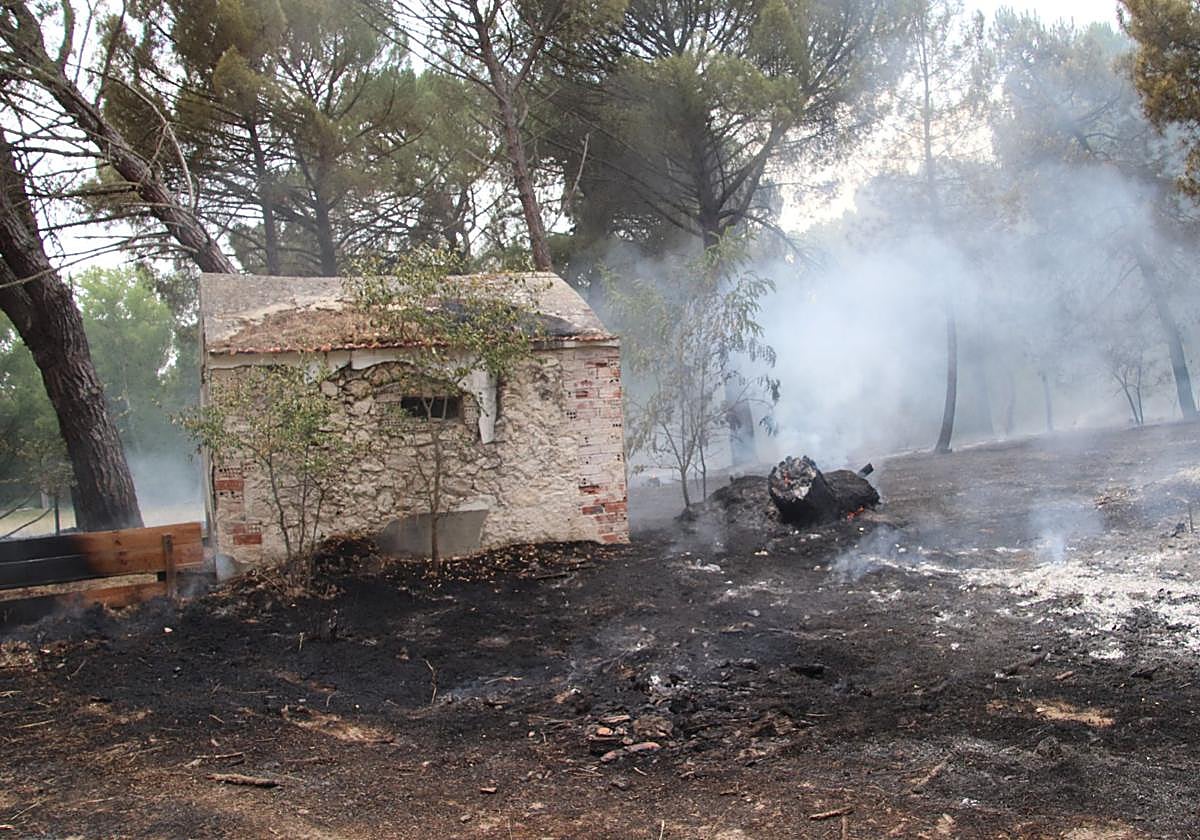Fotos del incendio en Cuéllar junto al río Cega