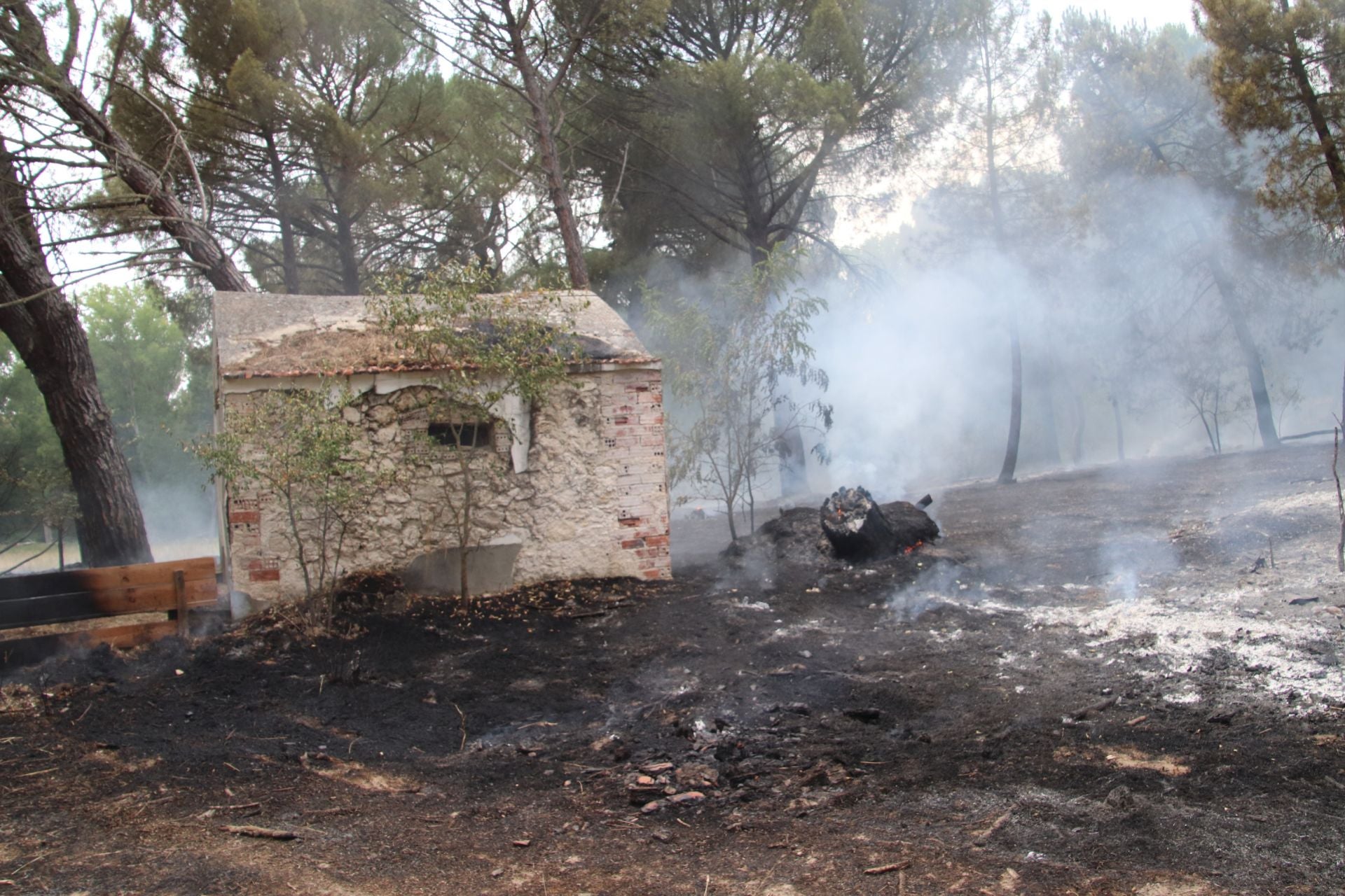 Fotos del incendio en Cuéllar junto al río Cega
