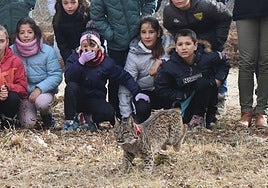 Los niños del colegio Anacleto Orejón de Astudillo observan la suelta de 'Vuelvepiedras' el pasado 17 de febrero.