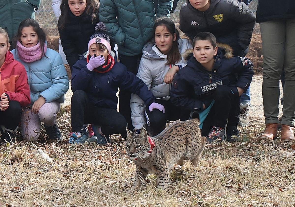 Los niños del colegio Anacleto Orejón de Astudillo observan la suelta de 'Vuelvepiedras' el pasado 17 de febrero.